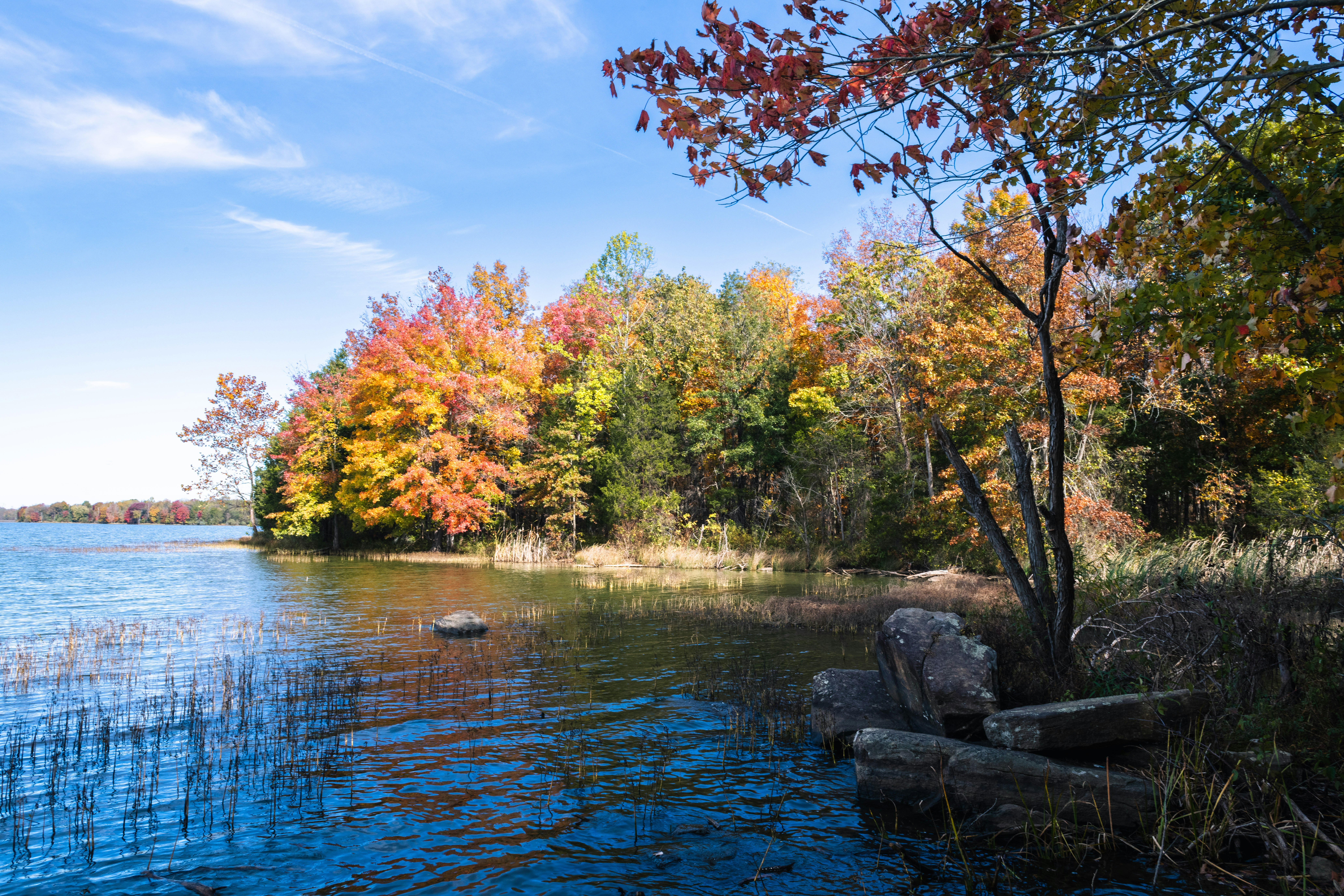 Photo by sriniunsplash