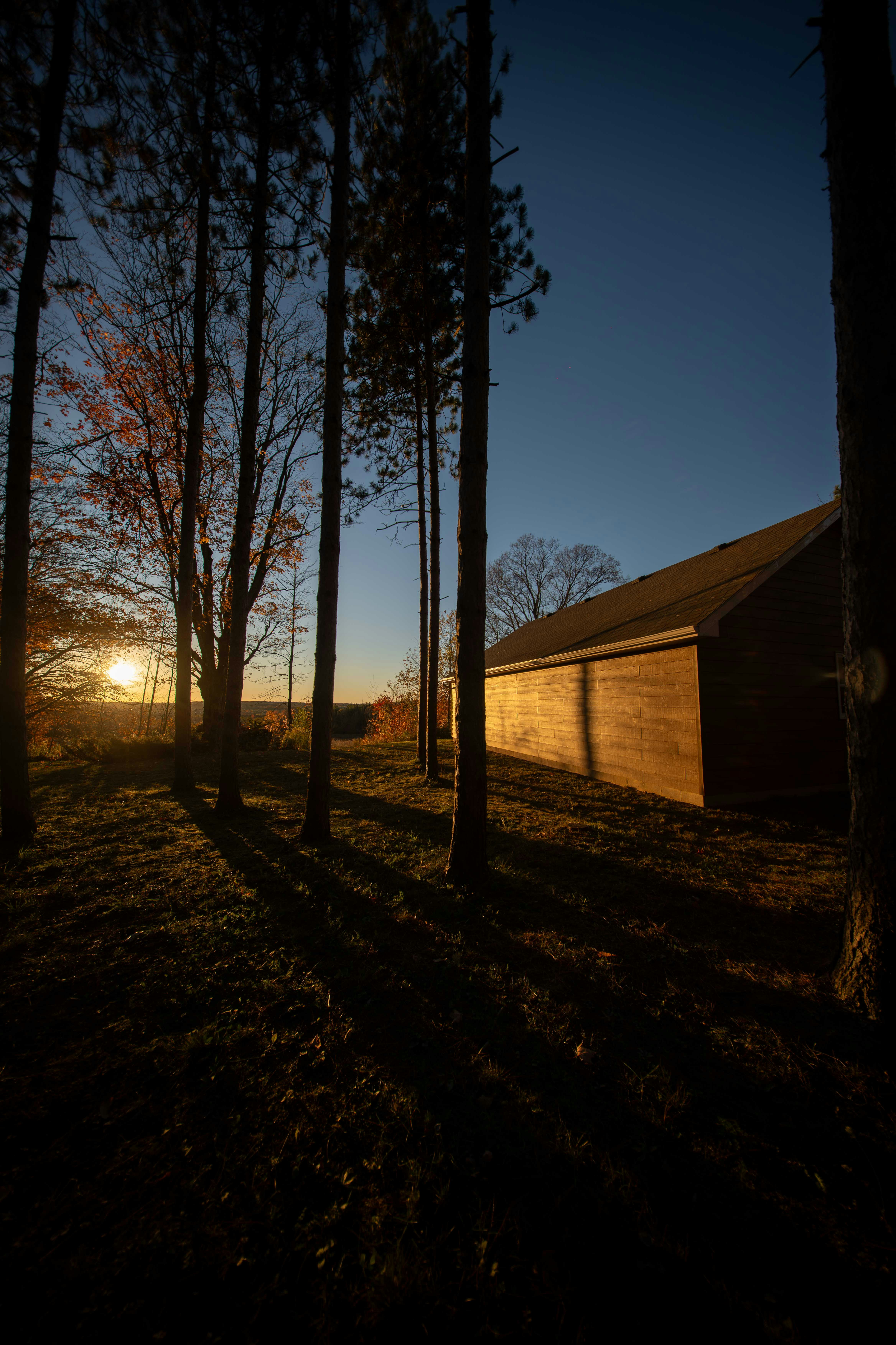 Scheune und Bäume bei Sonnenuntergang mit langen Schatten.