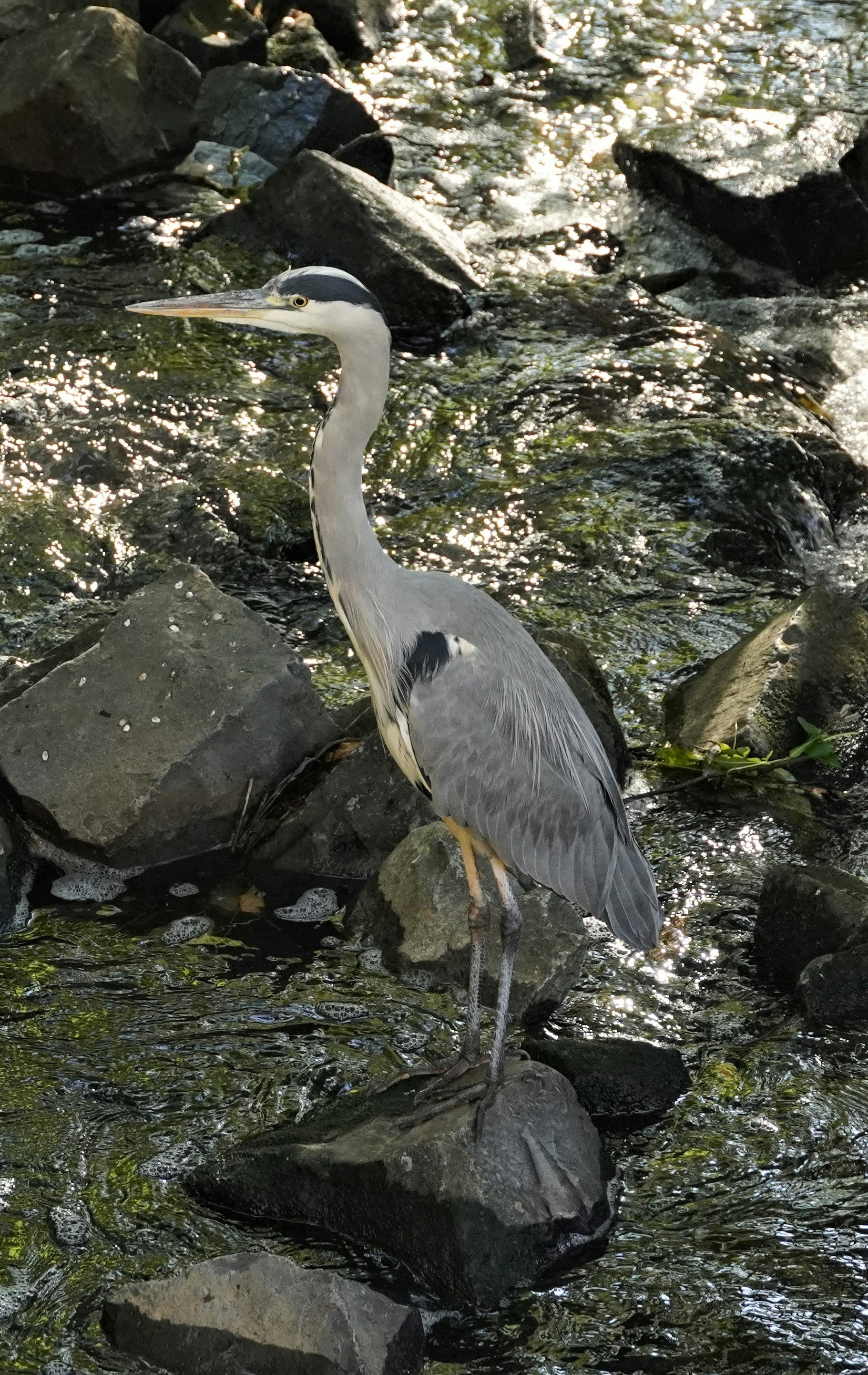 Photo by anneliese_klotz