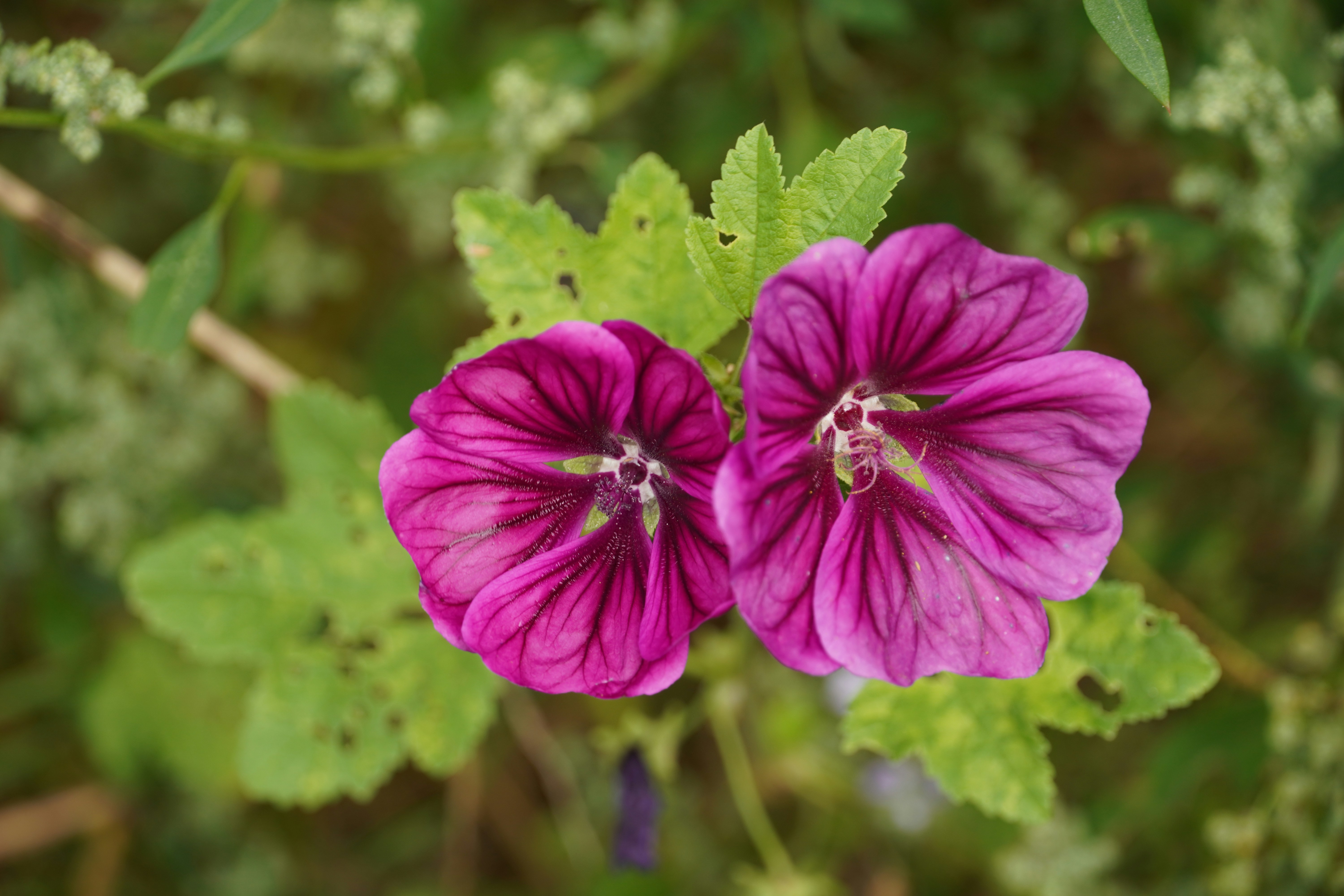 Photo by anneliese_klotz