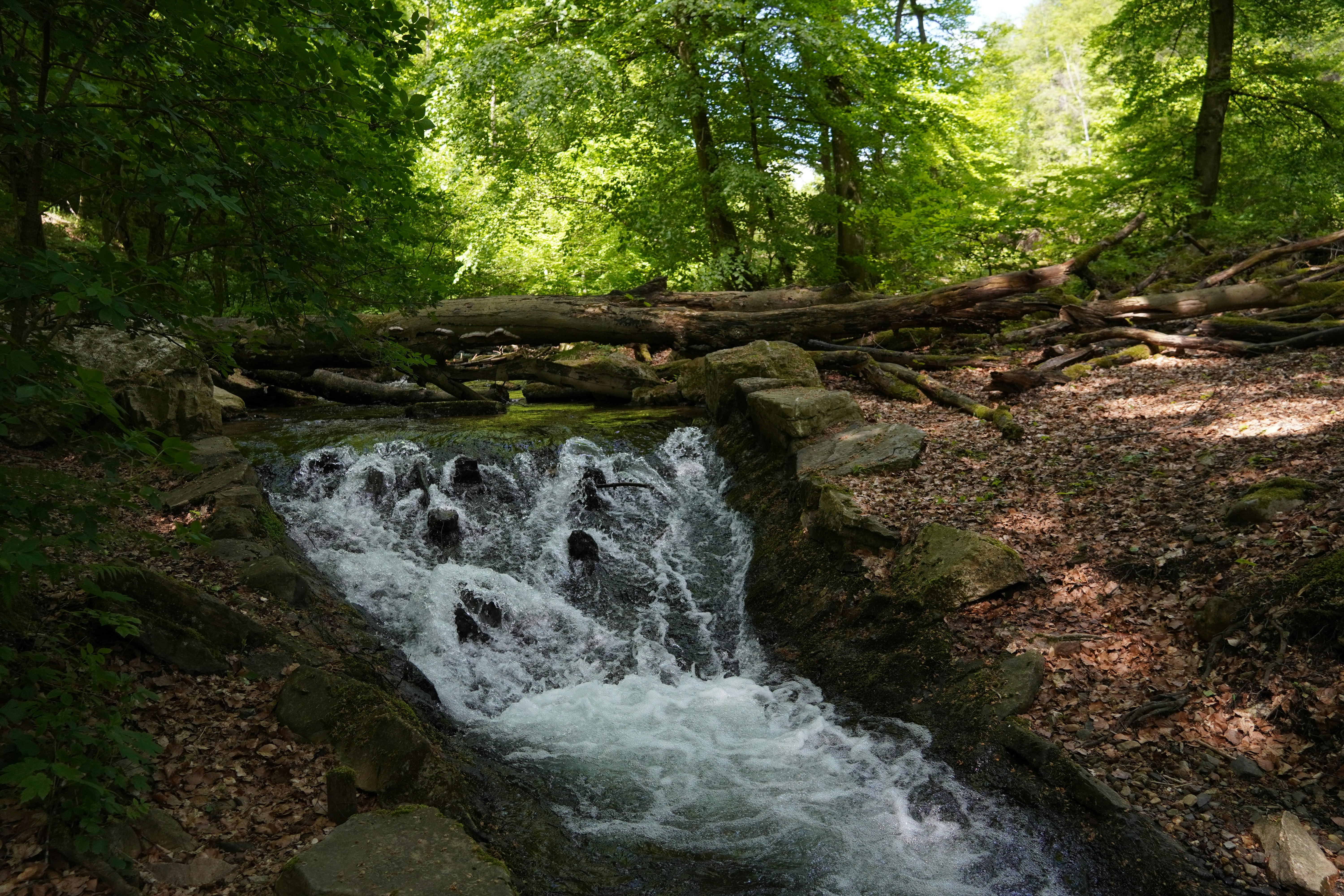 Photo by anneliese_klotz