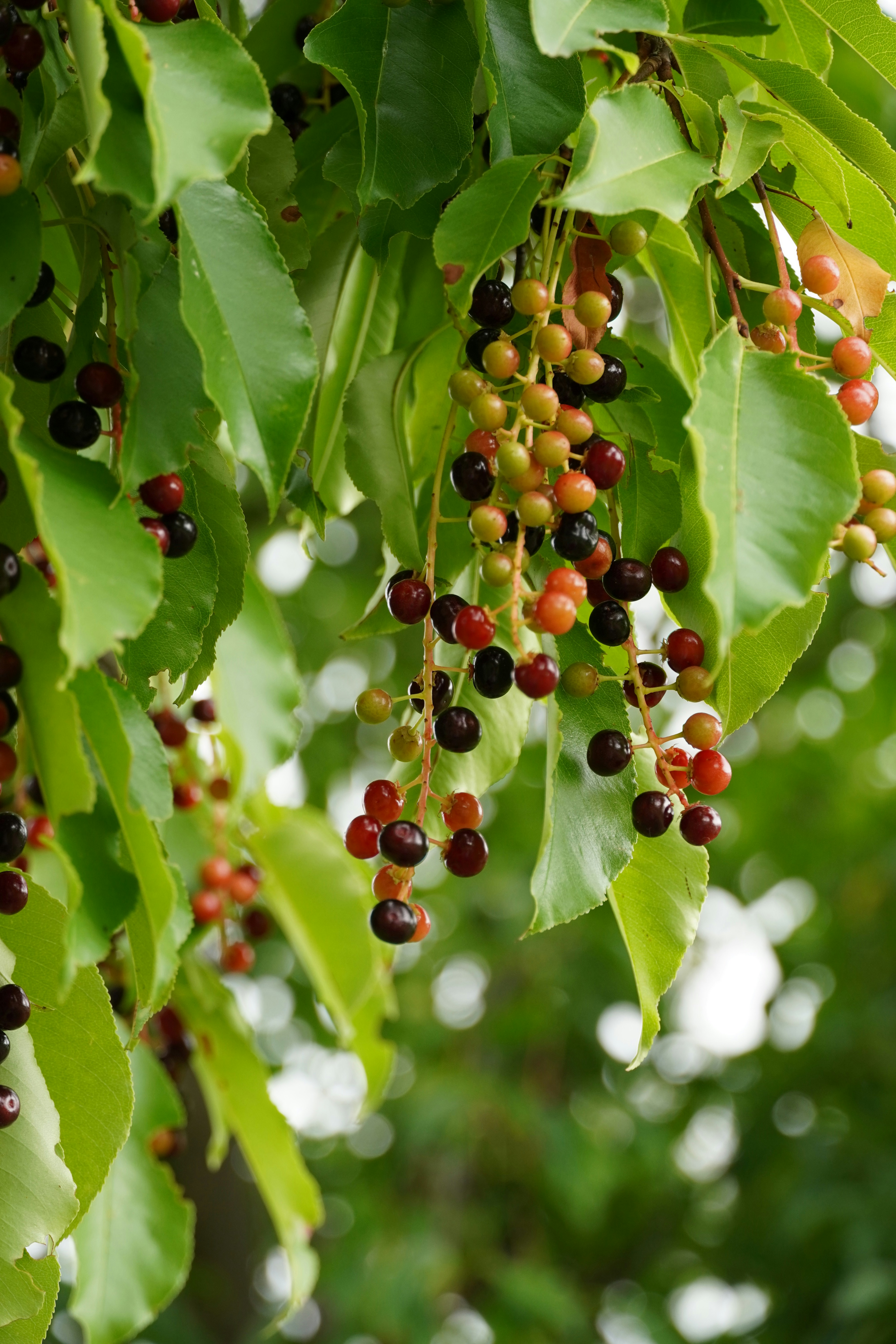 Photo by anneliese_klotz