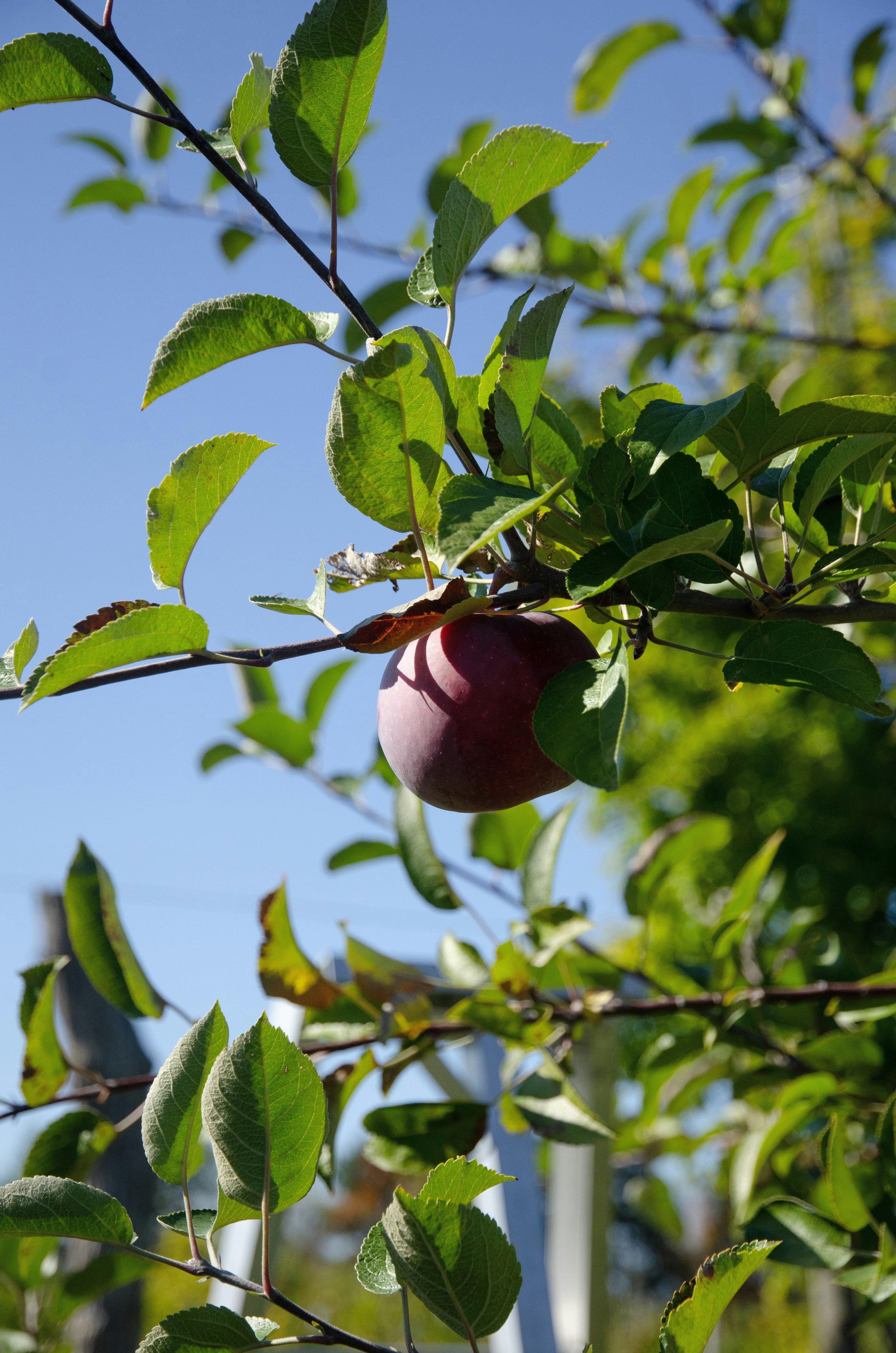 Photo by elysalbgraphiste