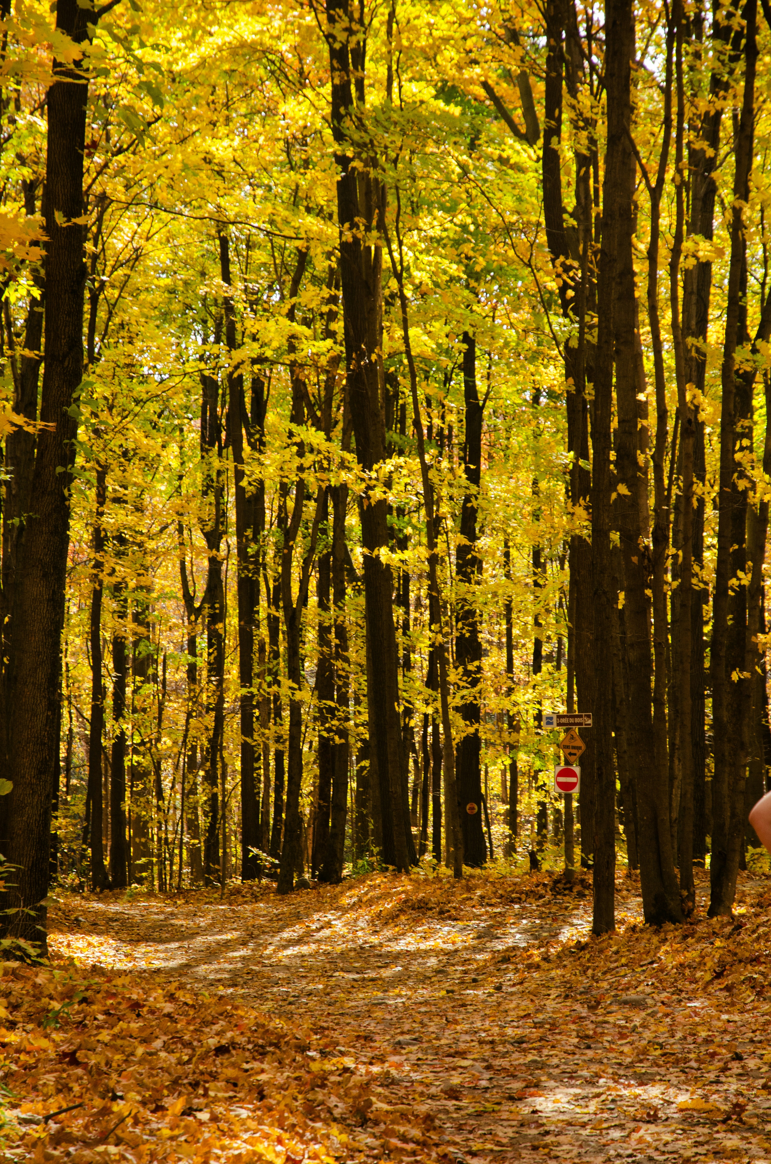 Photo by elysalbgraphiste