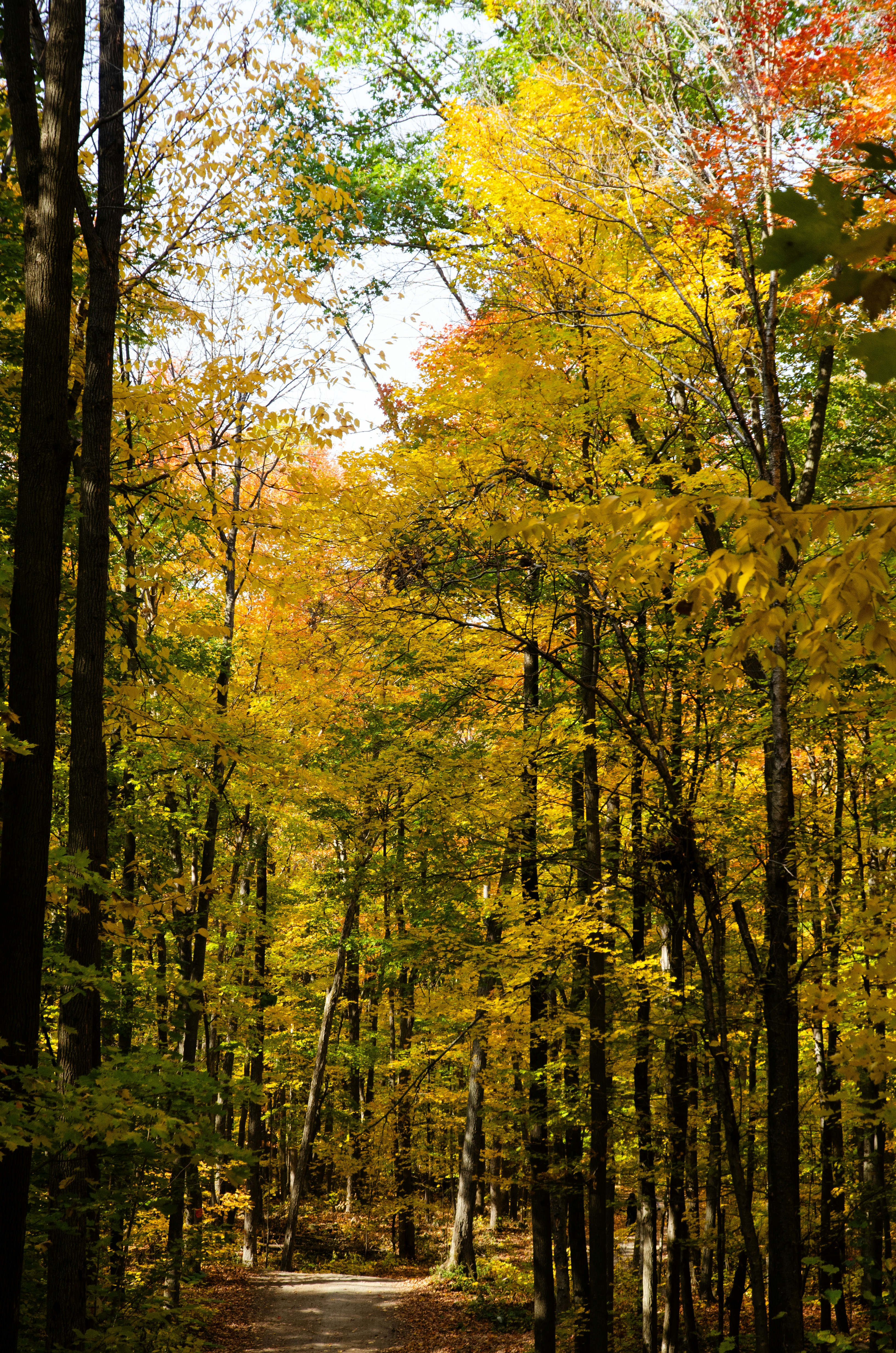 Photo by elysalbgraphiste