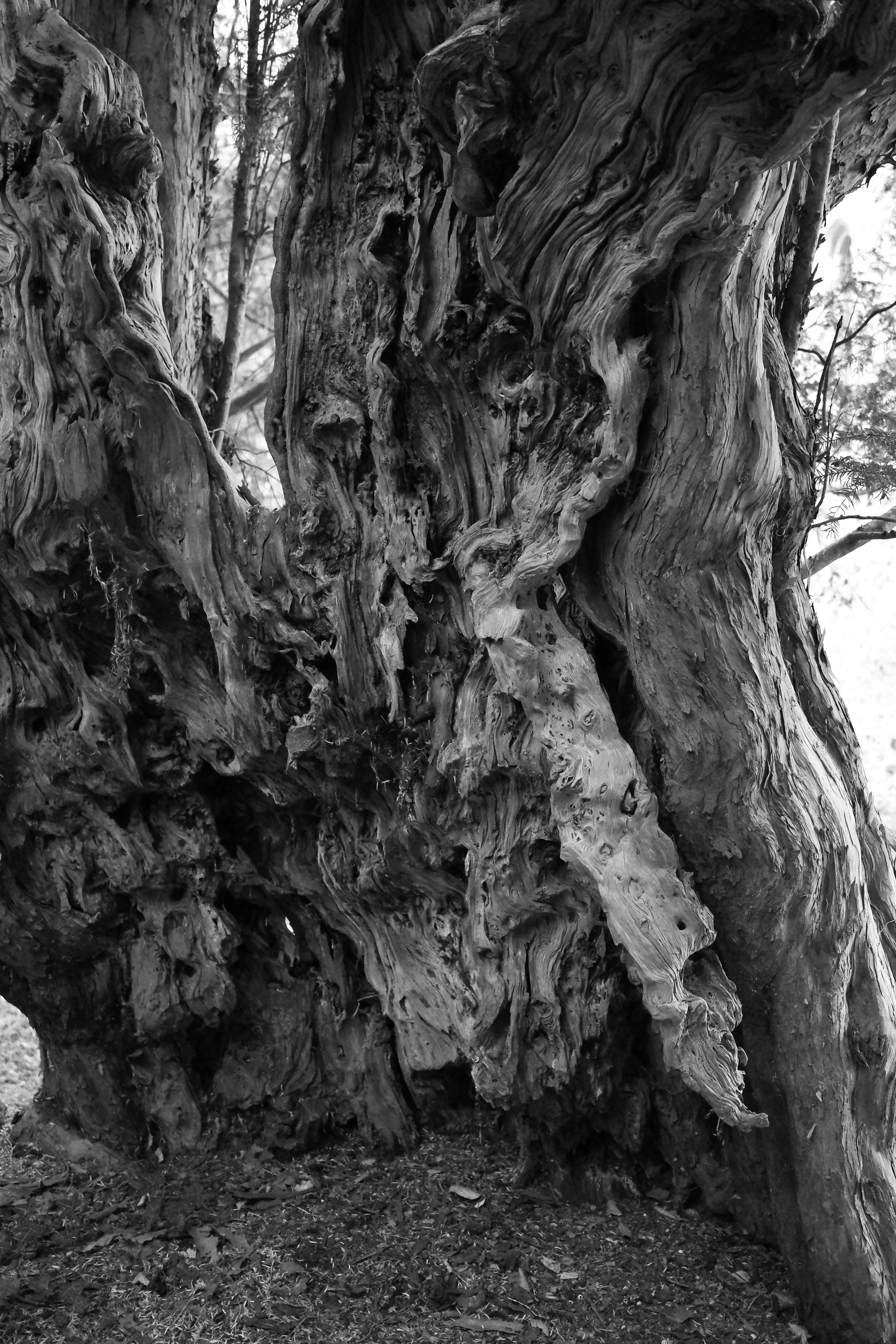 Photo by tomasrobertson