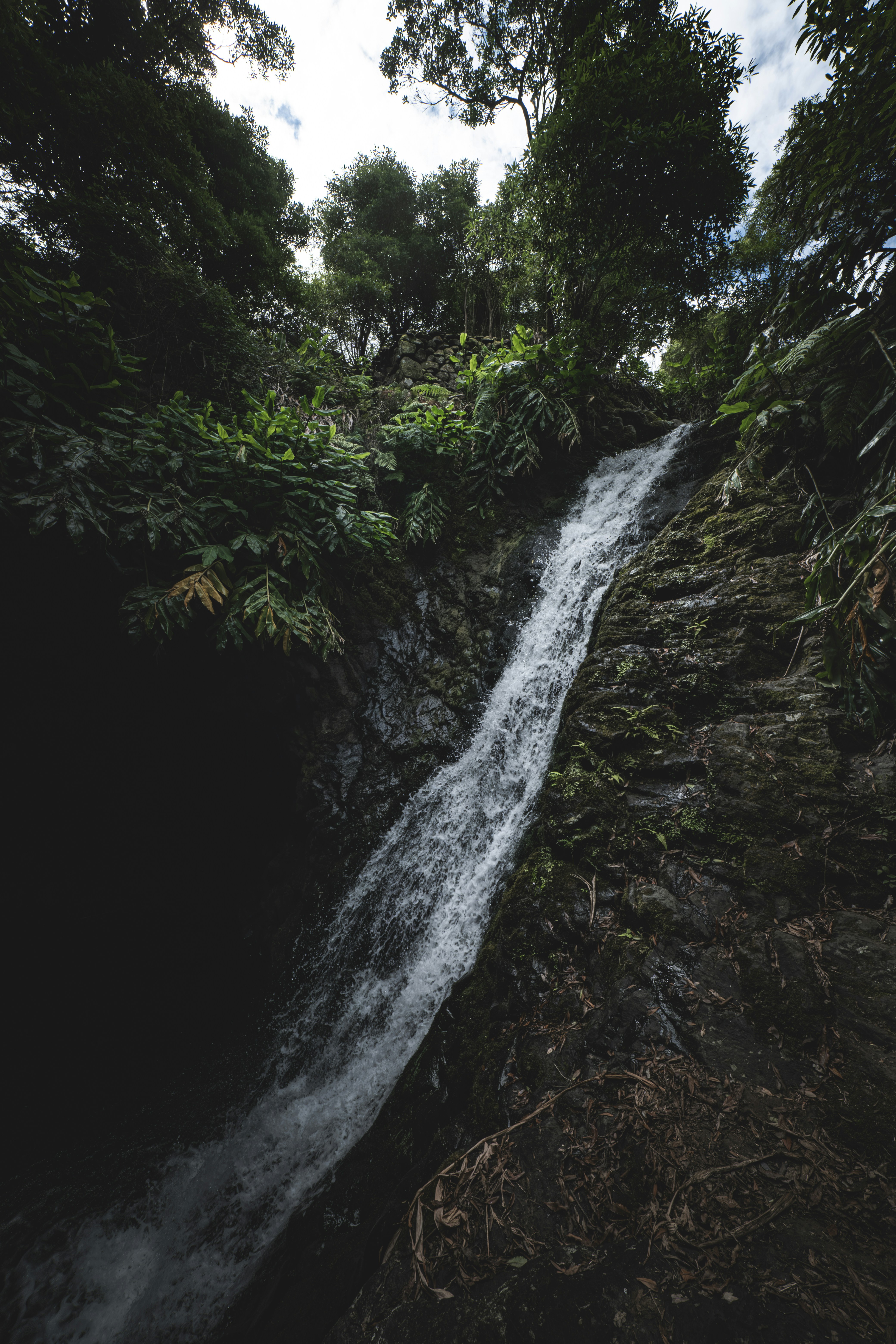 좁은 폭포가 바위 경사면을 따라 떨어집니다.