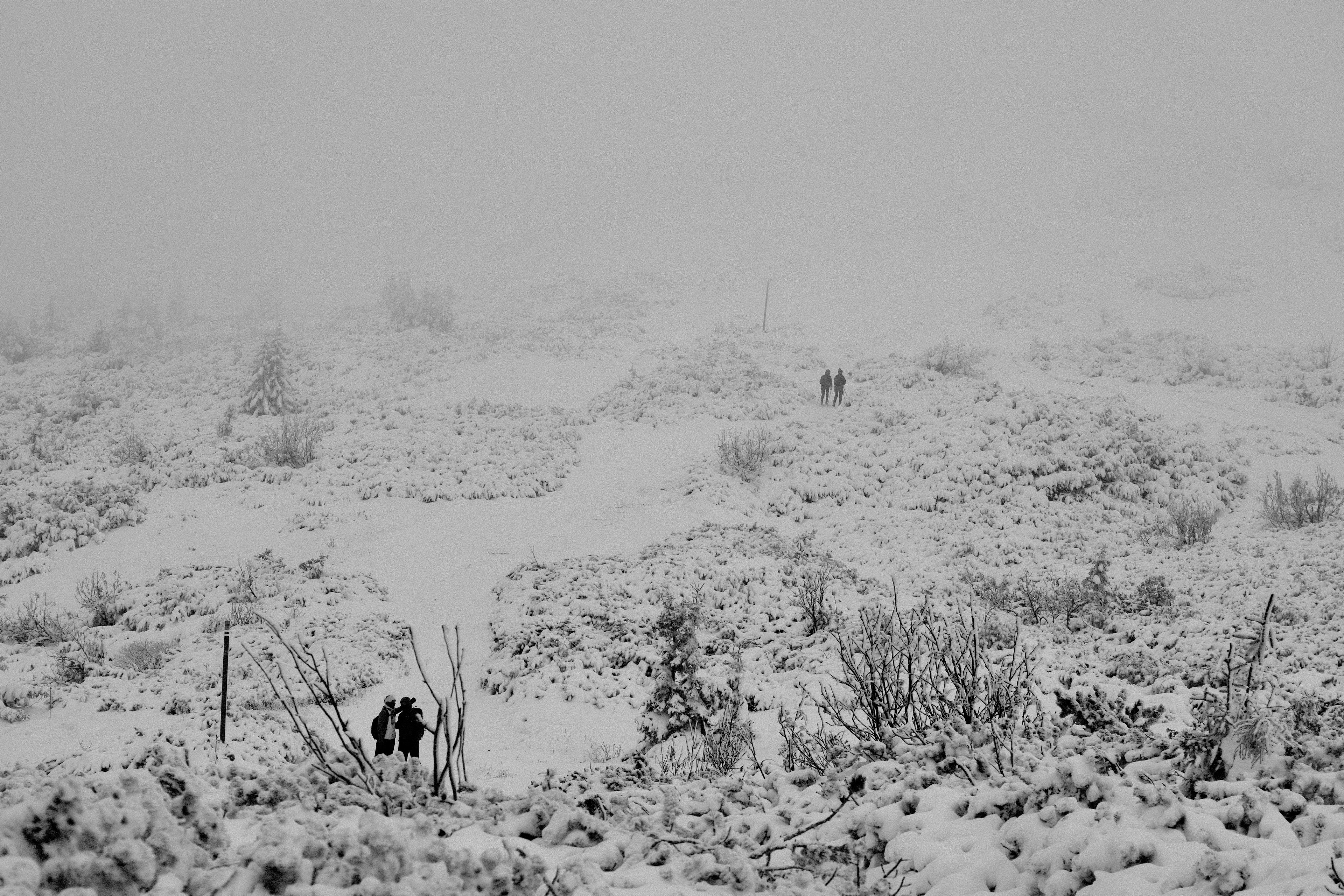 Hikers in a foggy, snow-covered mountain landscape.