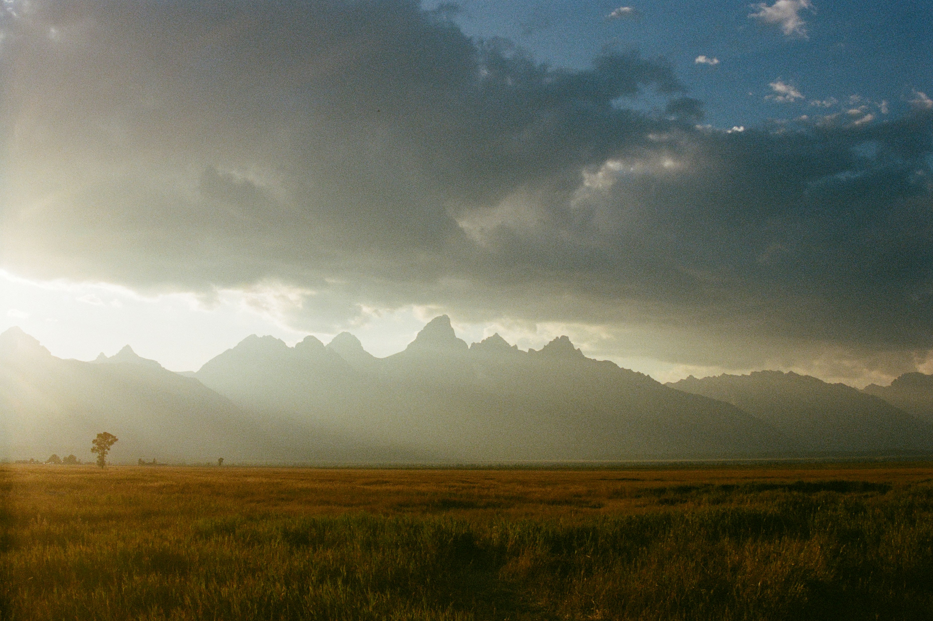 Exactly How Functional Rheumatology Can Help In Reducing Swelling Naturally