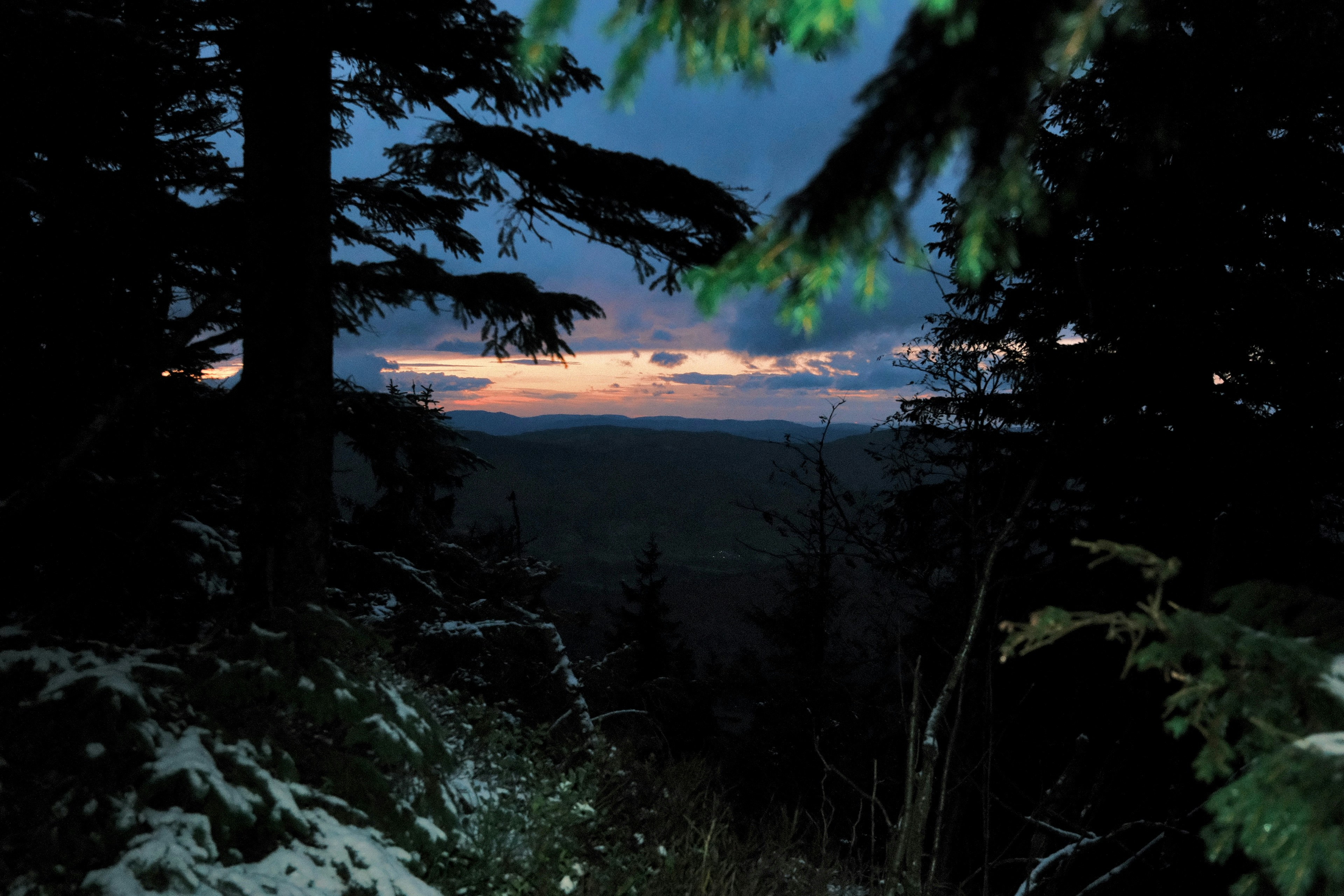 Geocaching im Wald bei Sonnenaufgang