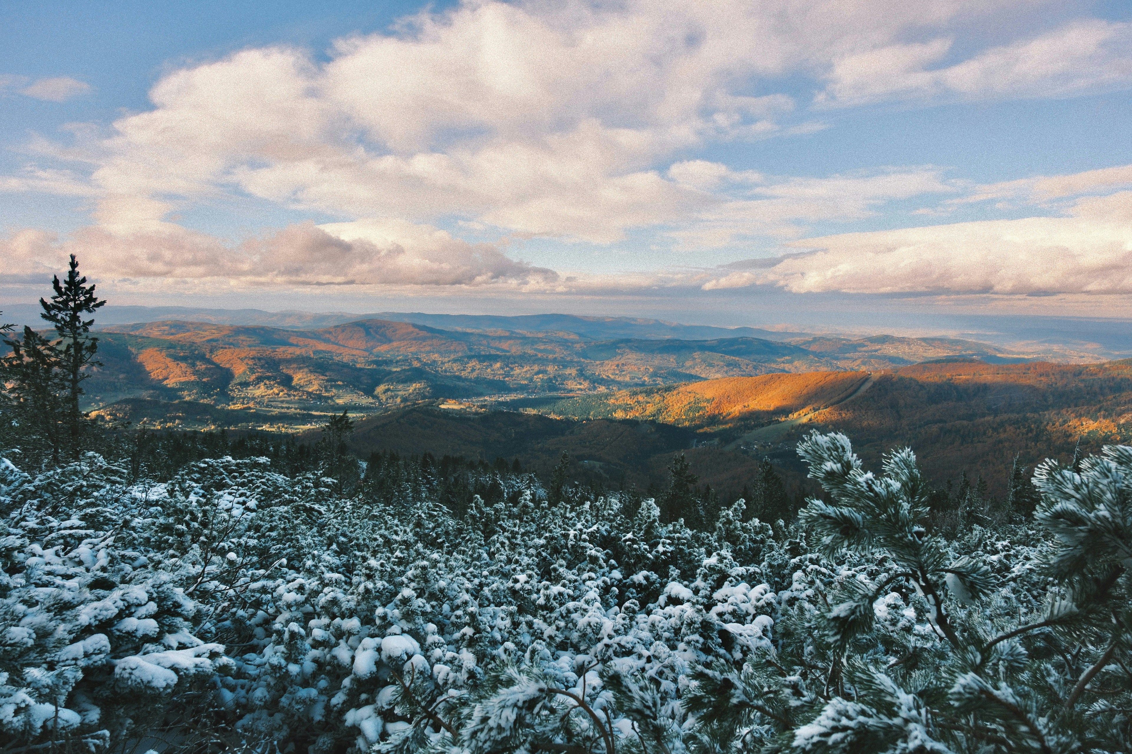 Snow-covered trees overlook rolling hills at sunrise.