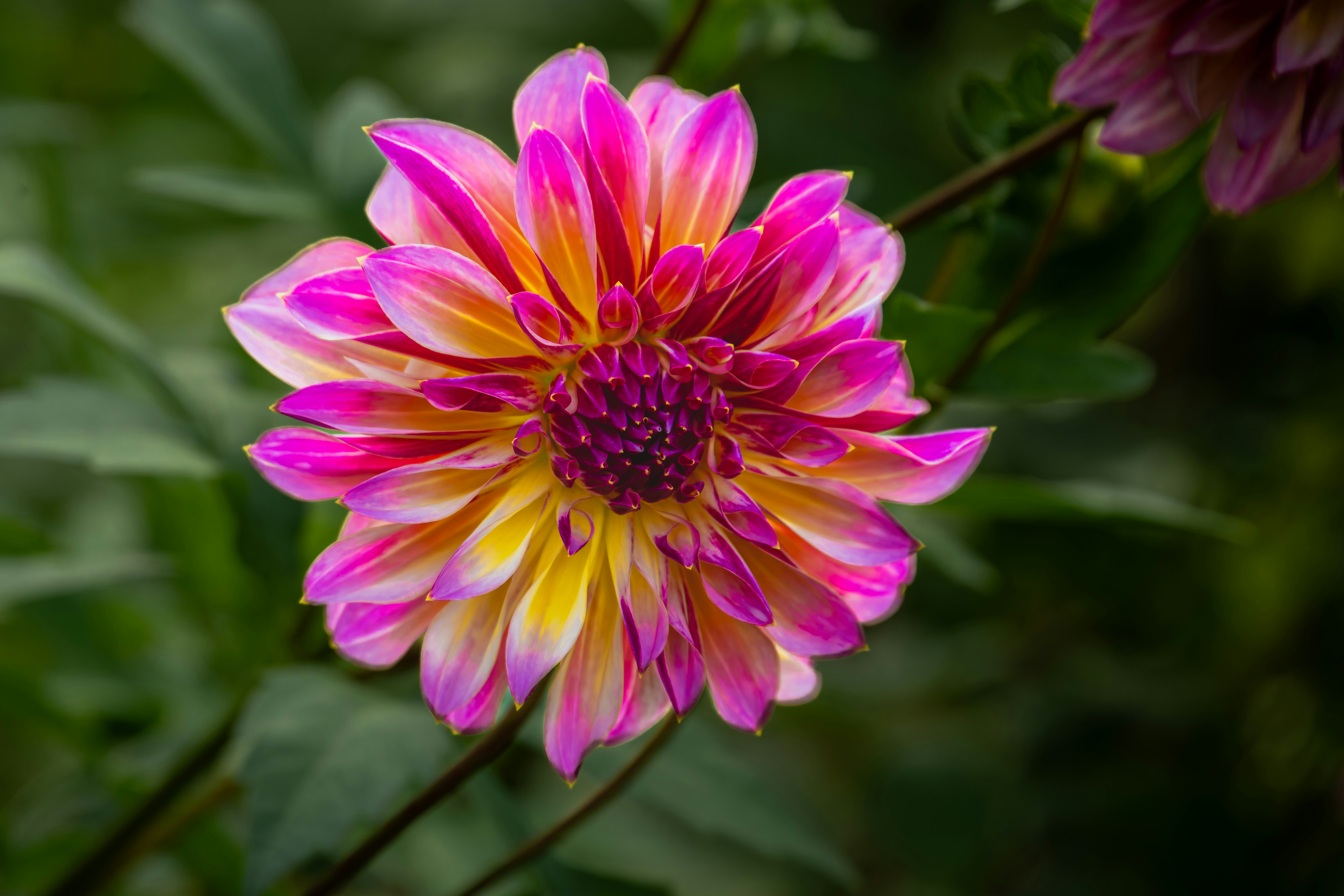 Photo by siegfriedpoepperl