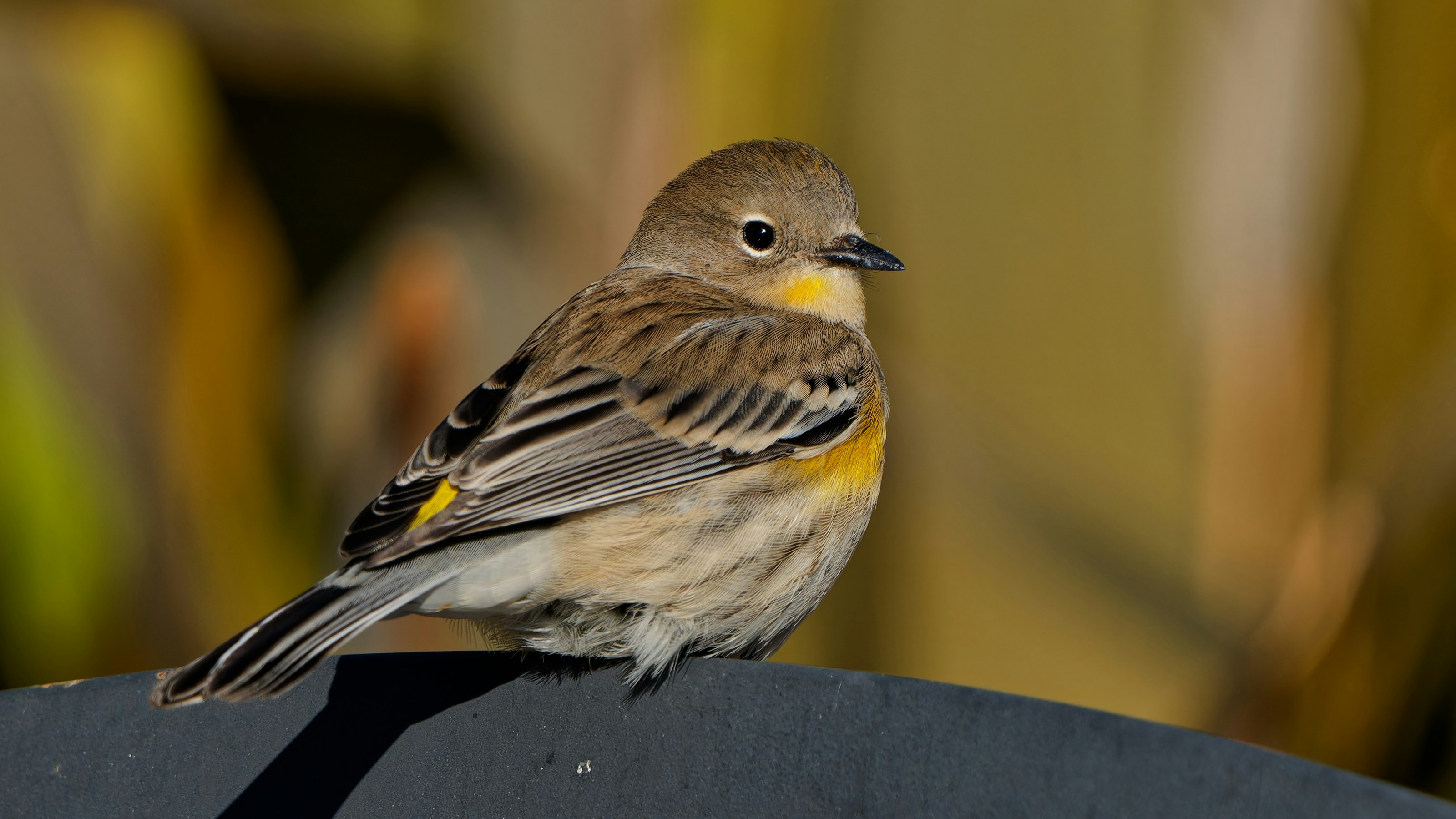 Photo by patrickbigelow_zoom_in