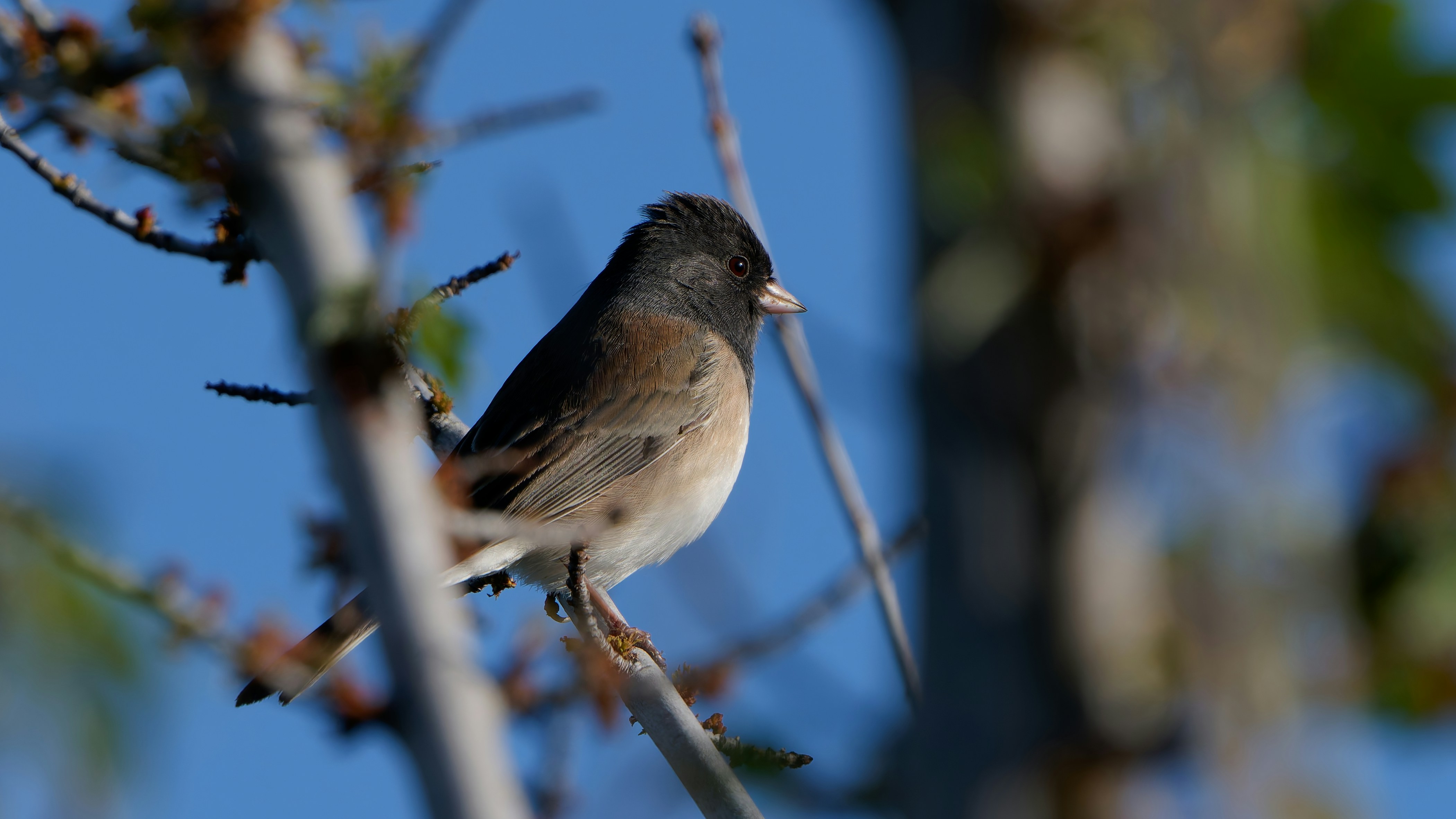 Photo by patrickbigelow_zoom_in