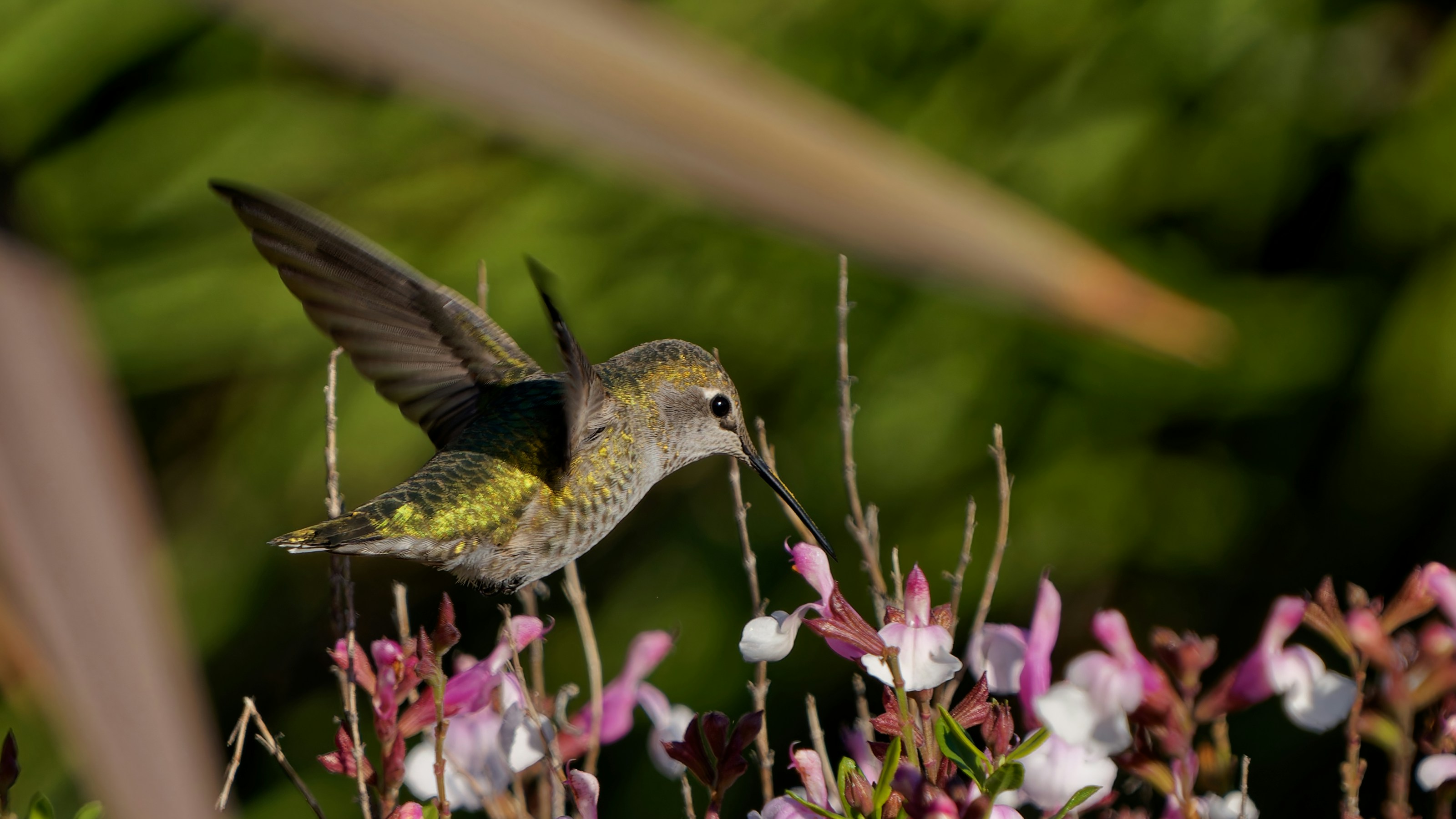 Photo by patrickbigelow_zoom_in