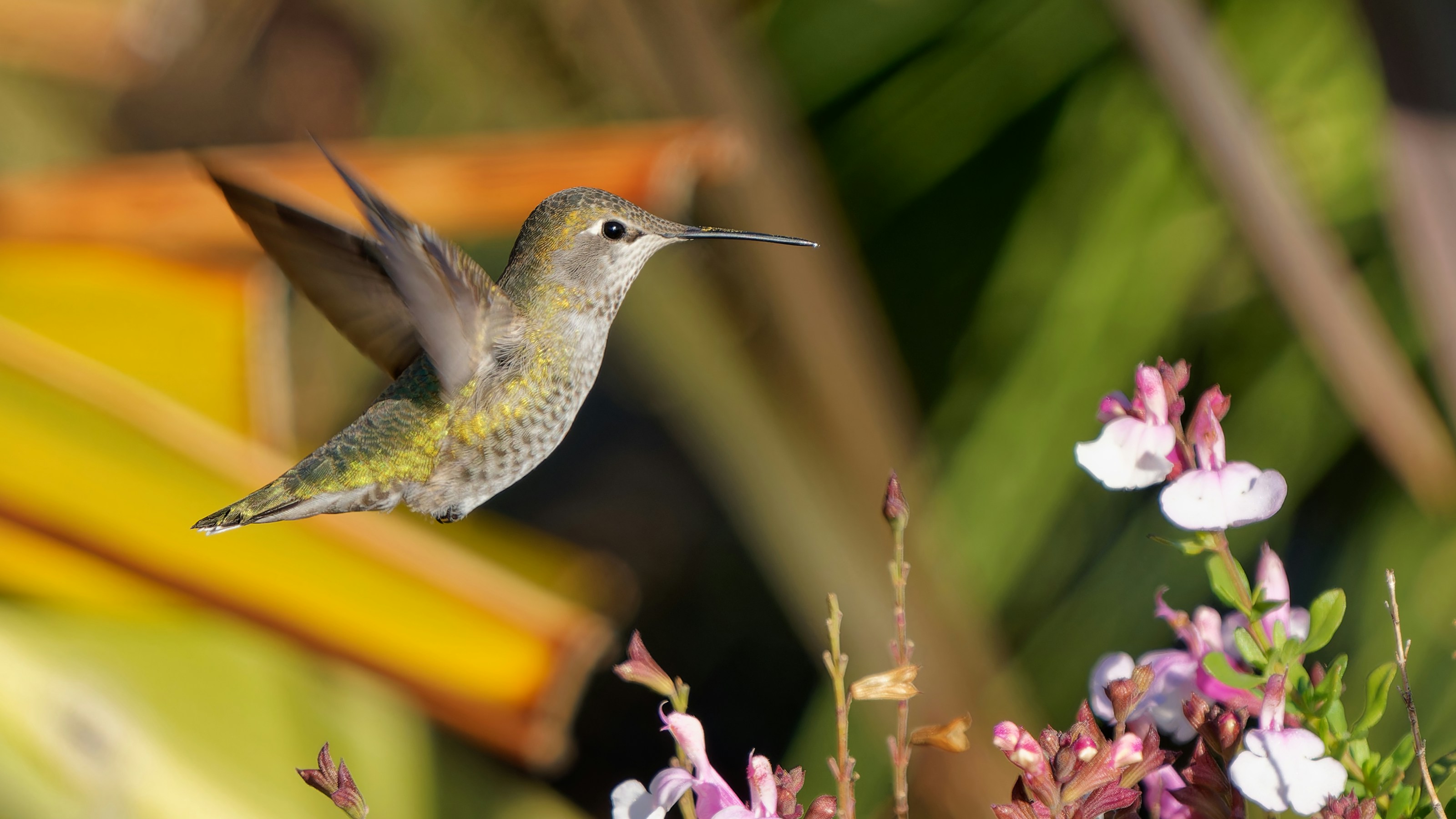 Photo by patrickbigelow_zoom_in