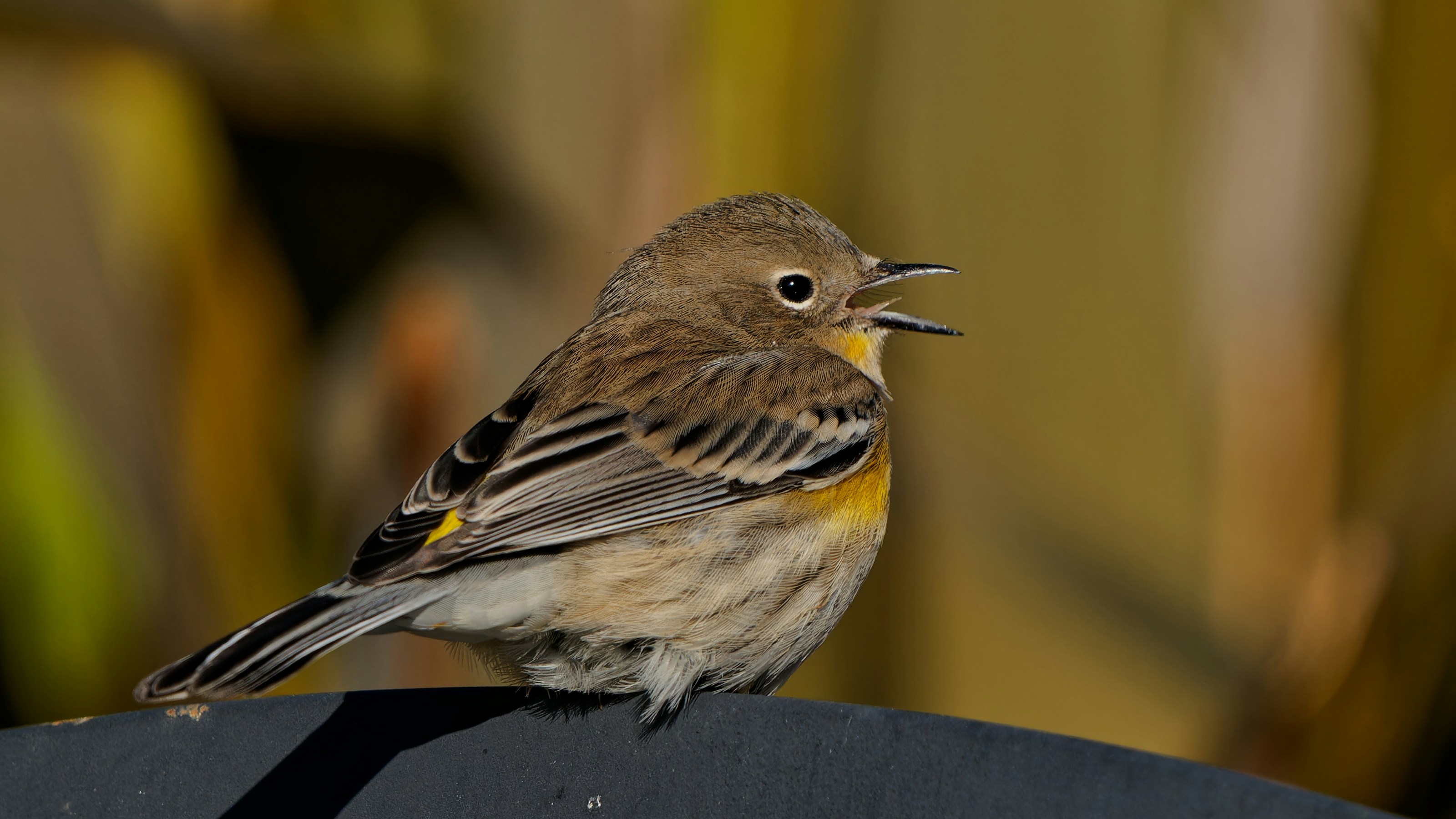 Photo by patrickbigelow_zoom_in