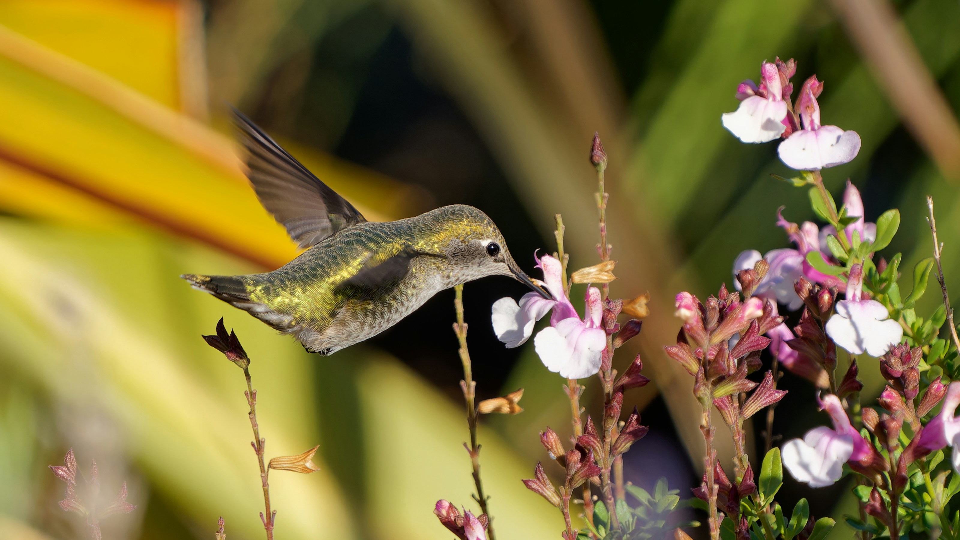 Photo by patrickbigelow_zoom_in