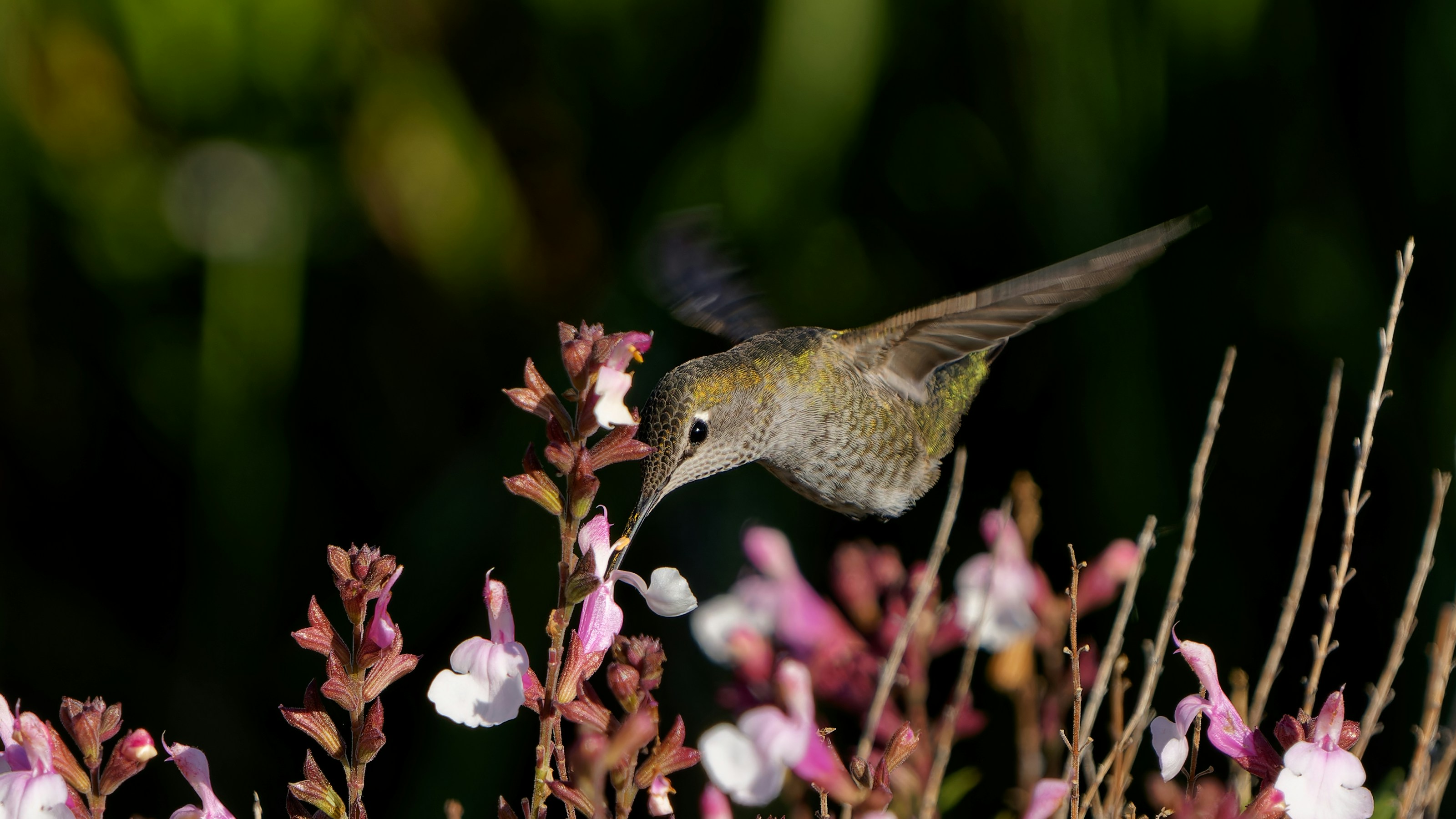 Photo by patrickbigelow_zoom_in