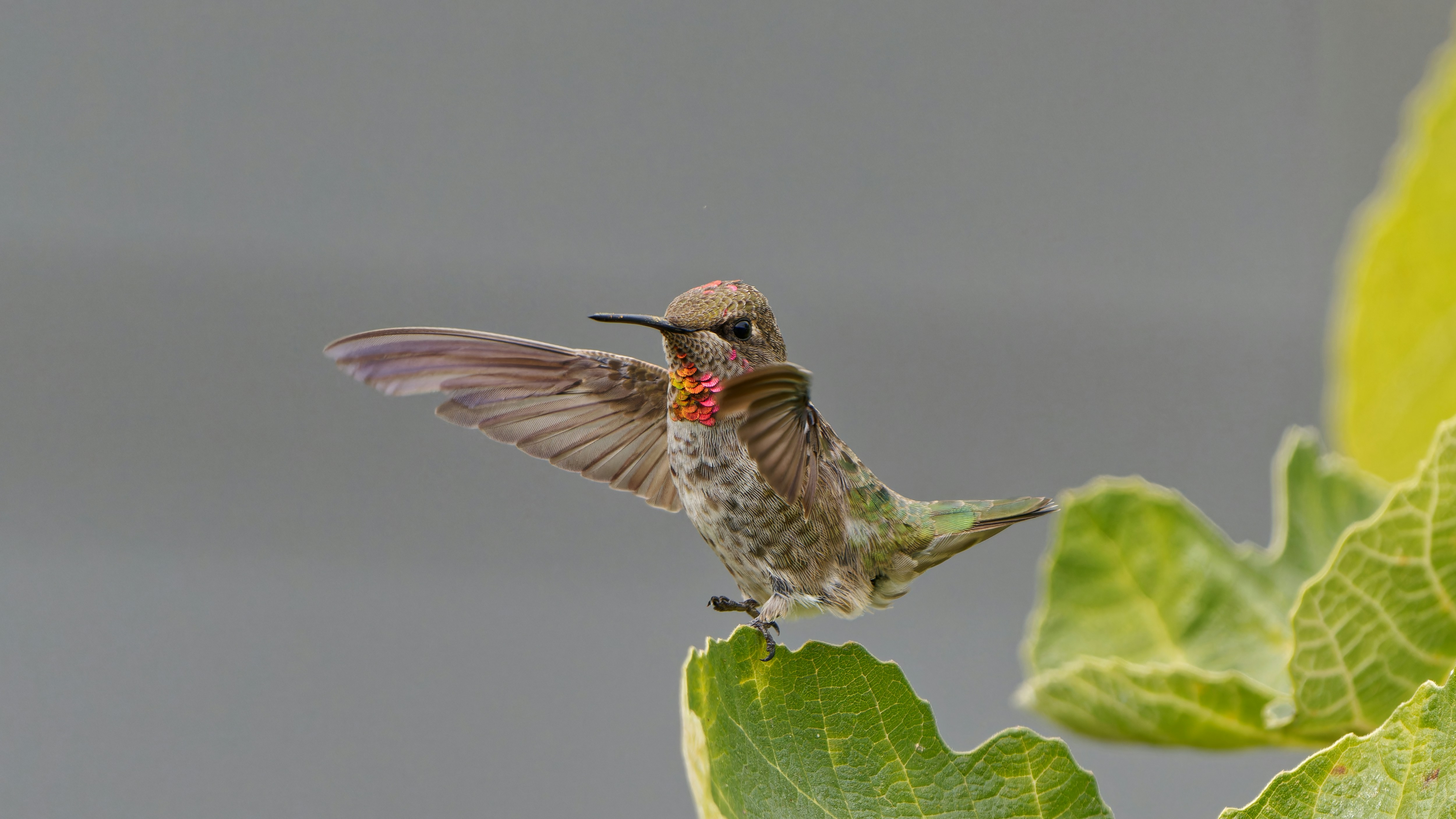 Photo by patrickbigelow_zoom_in