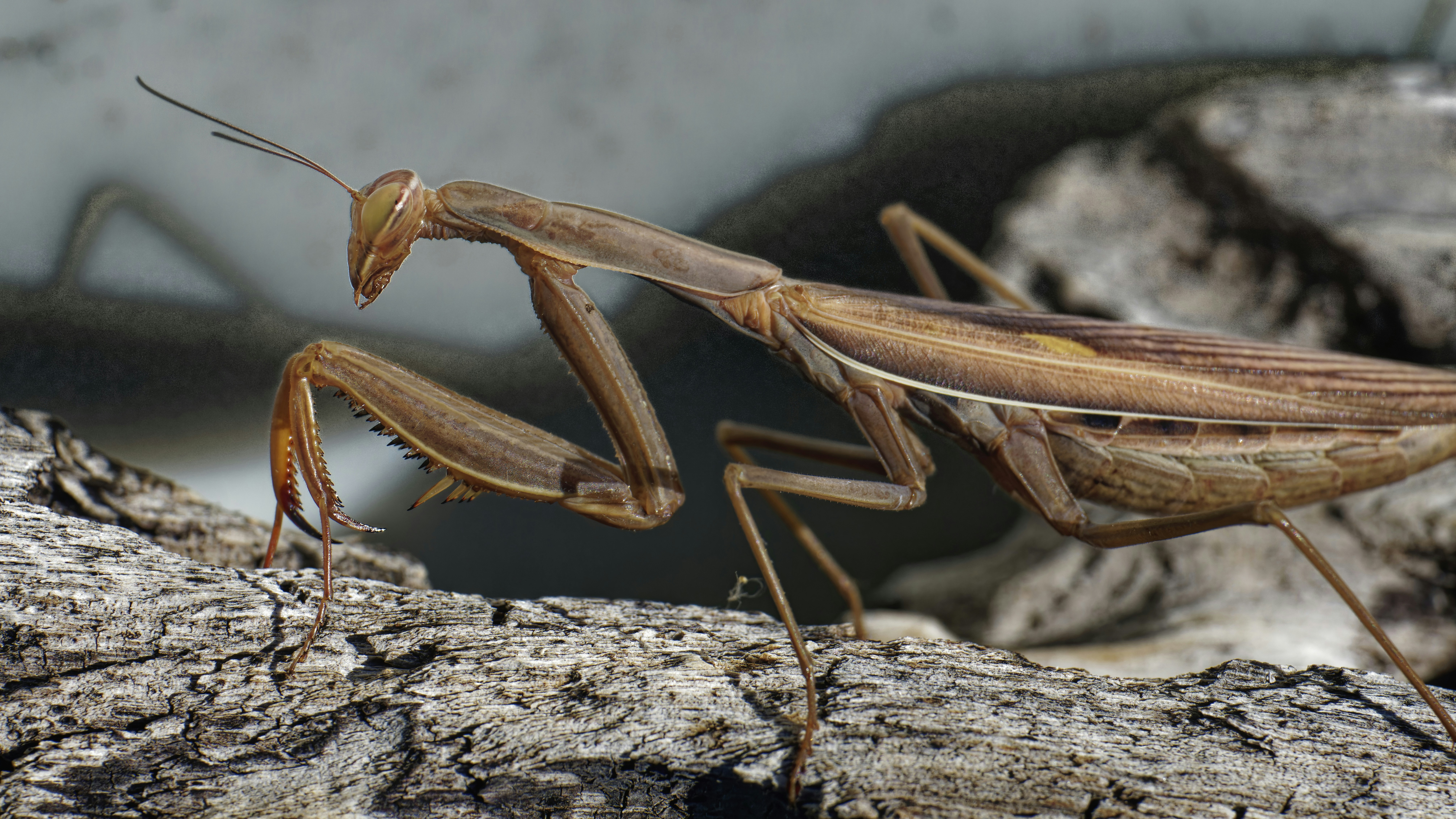 Photo by patrickbigelow_zoom_in