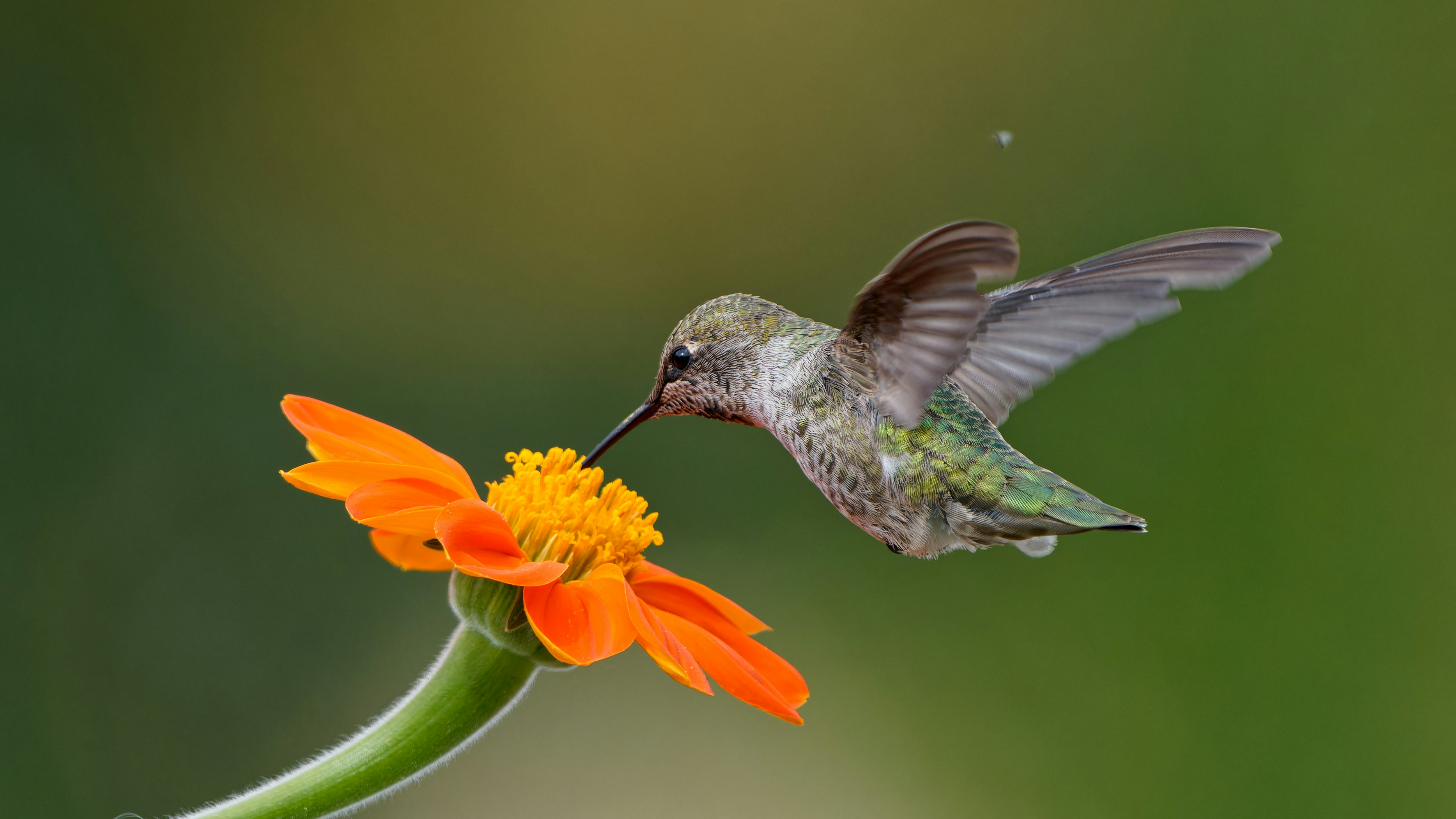 Photo by patrickbigelow_zoom_in