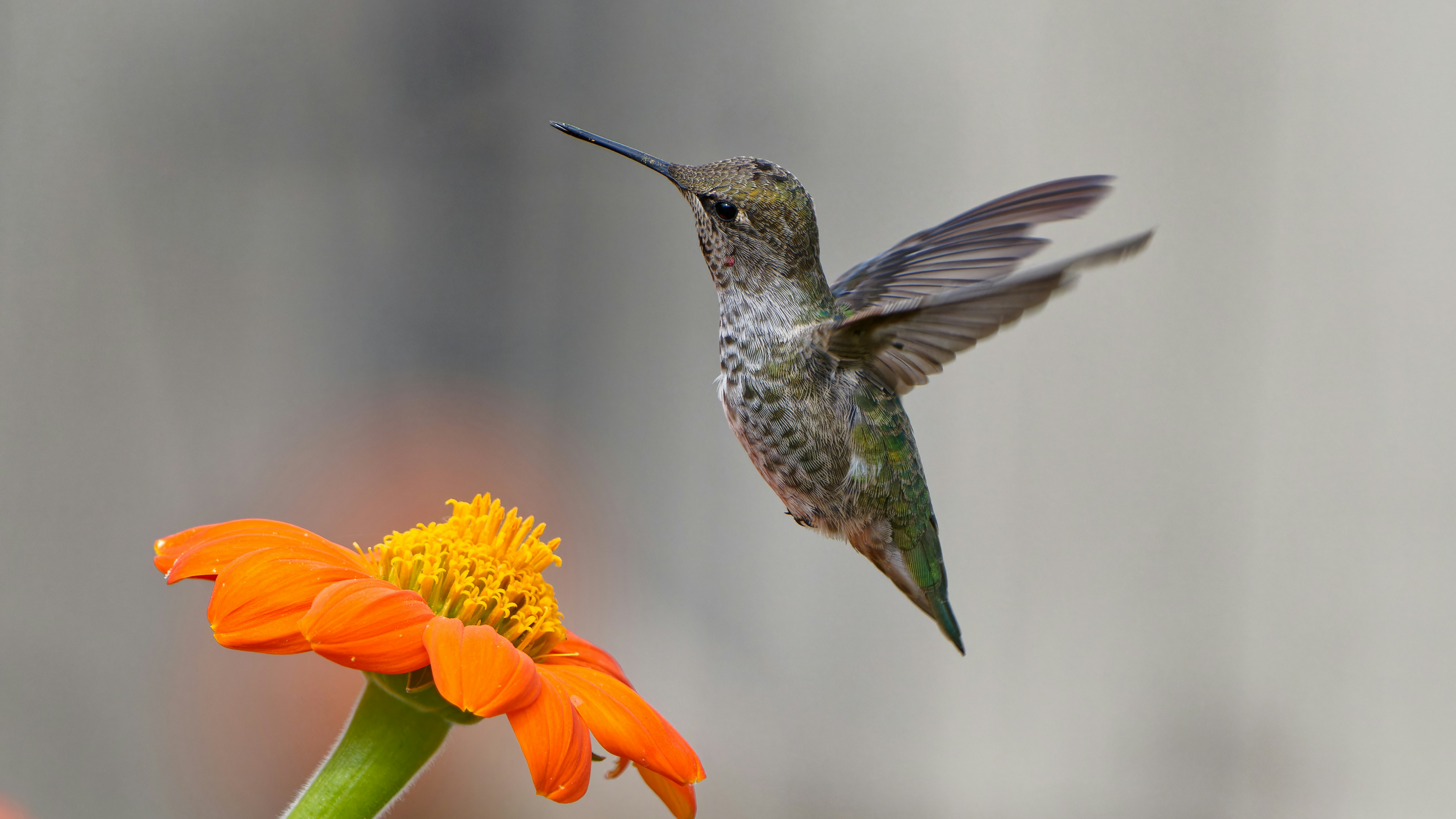 Photo by patrickbigelow_zoom_in