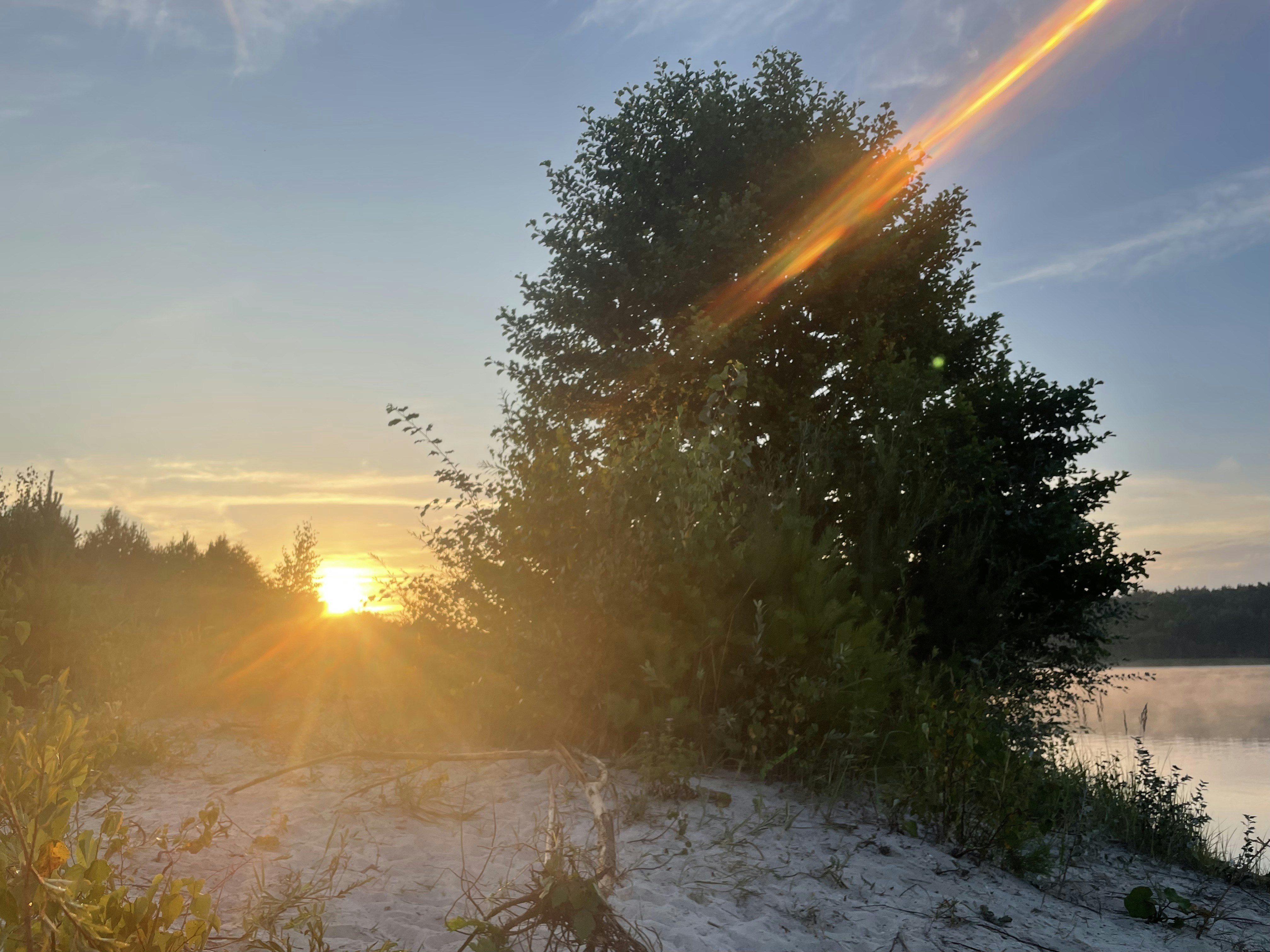 Photo by jstrozewski