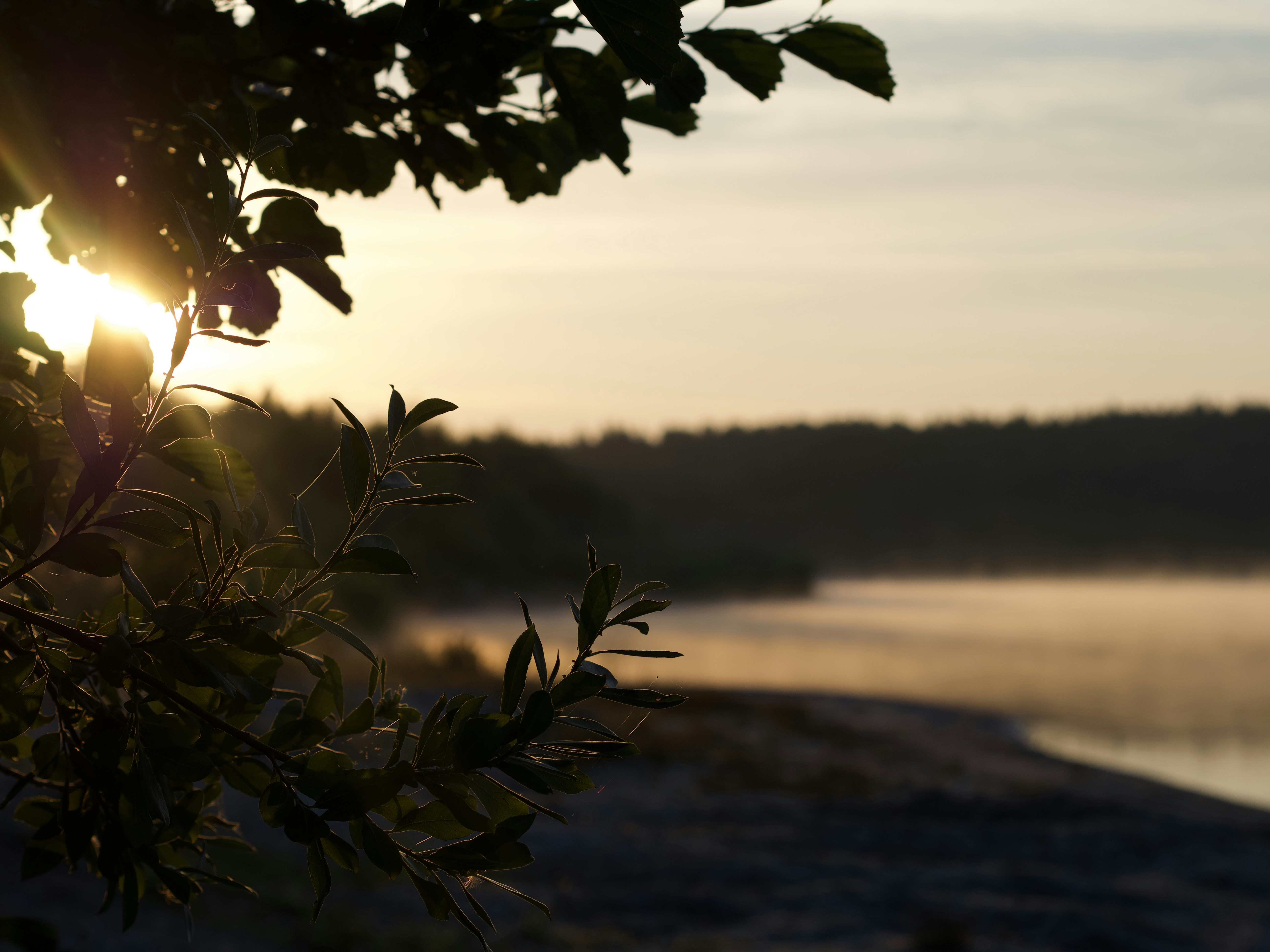 Photo by jstrozewski