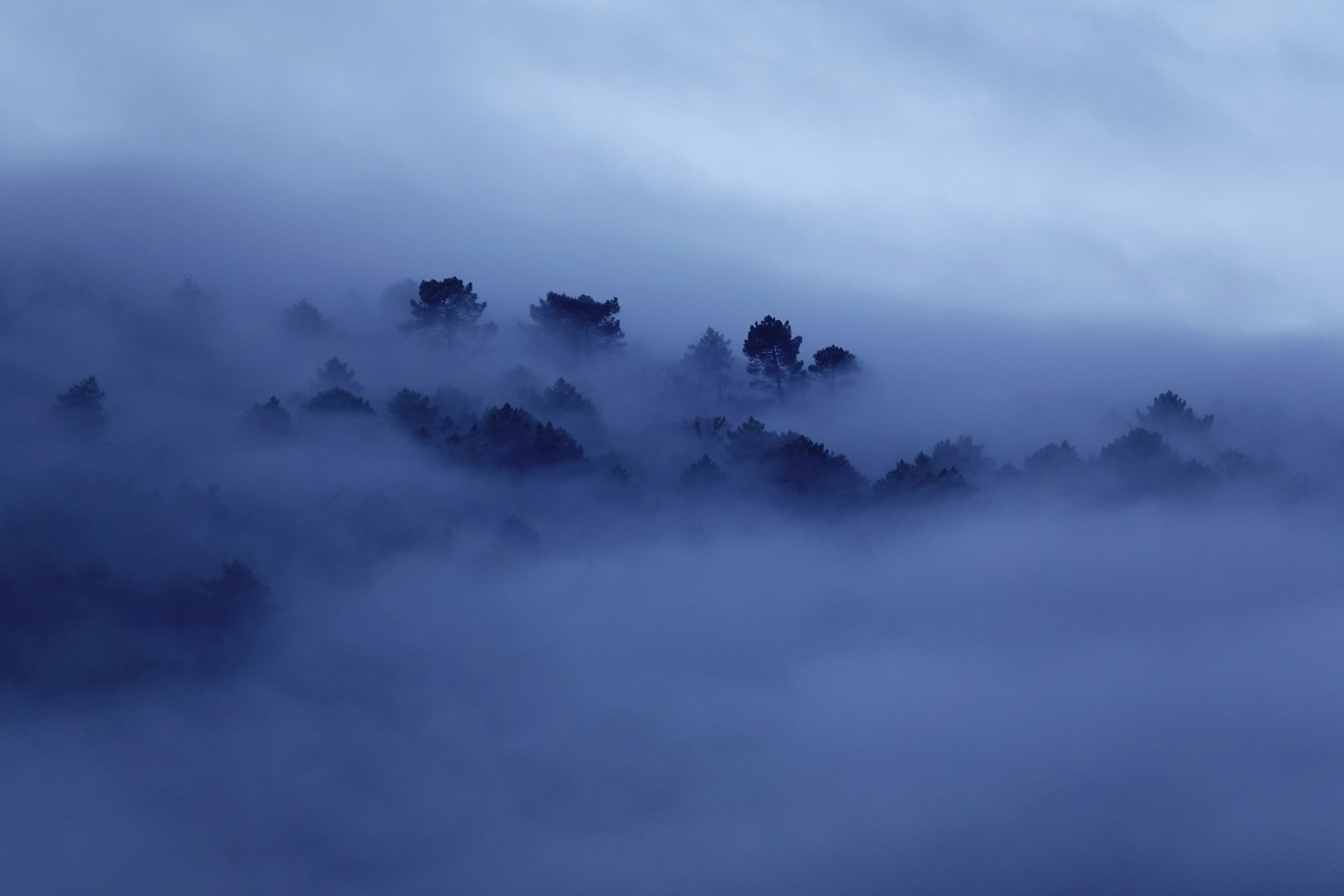 Photo by sempredilunedi