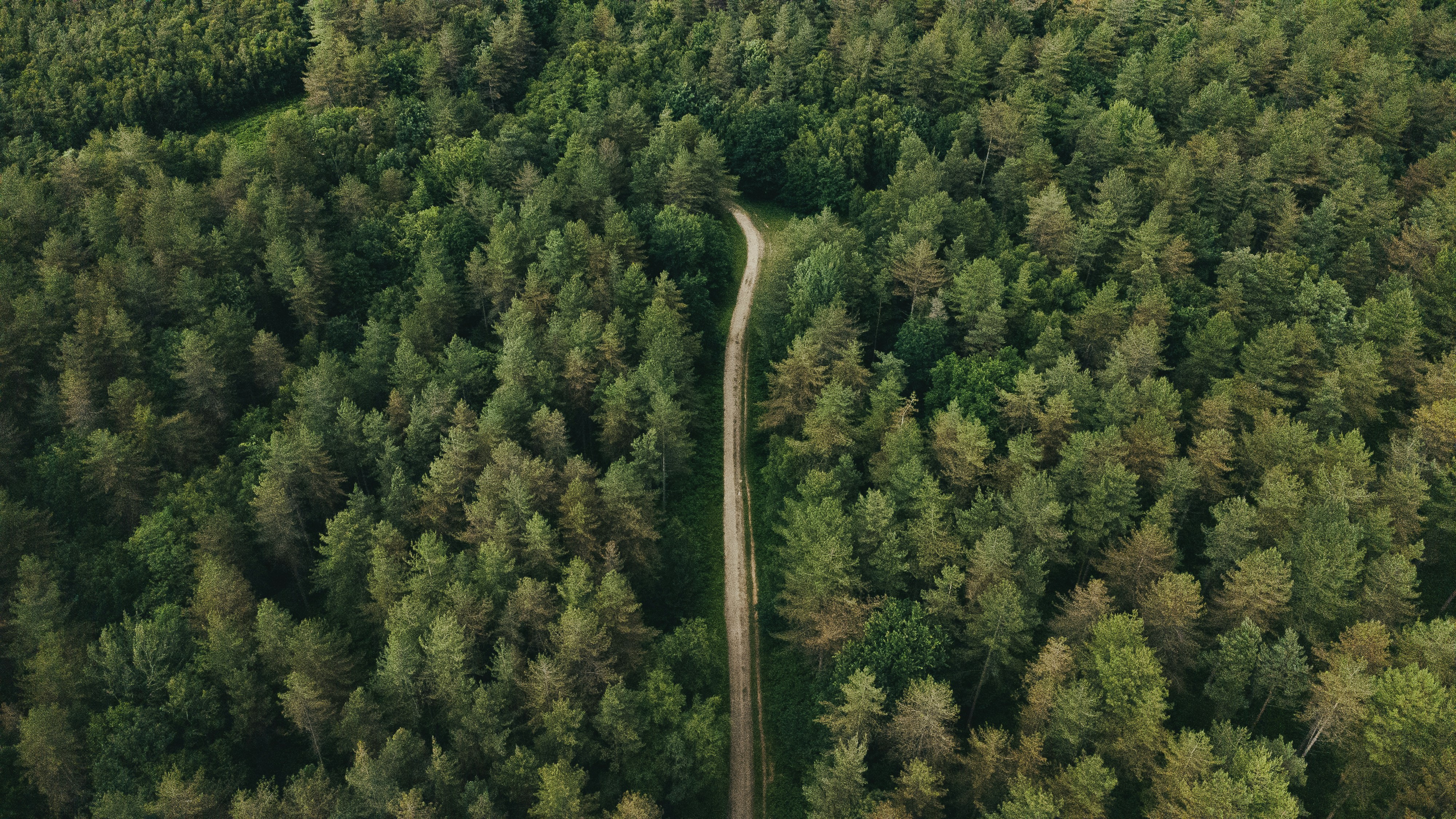 Photo by willcorrigan06