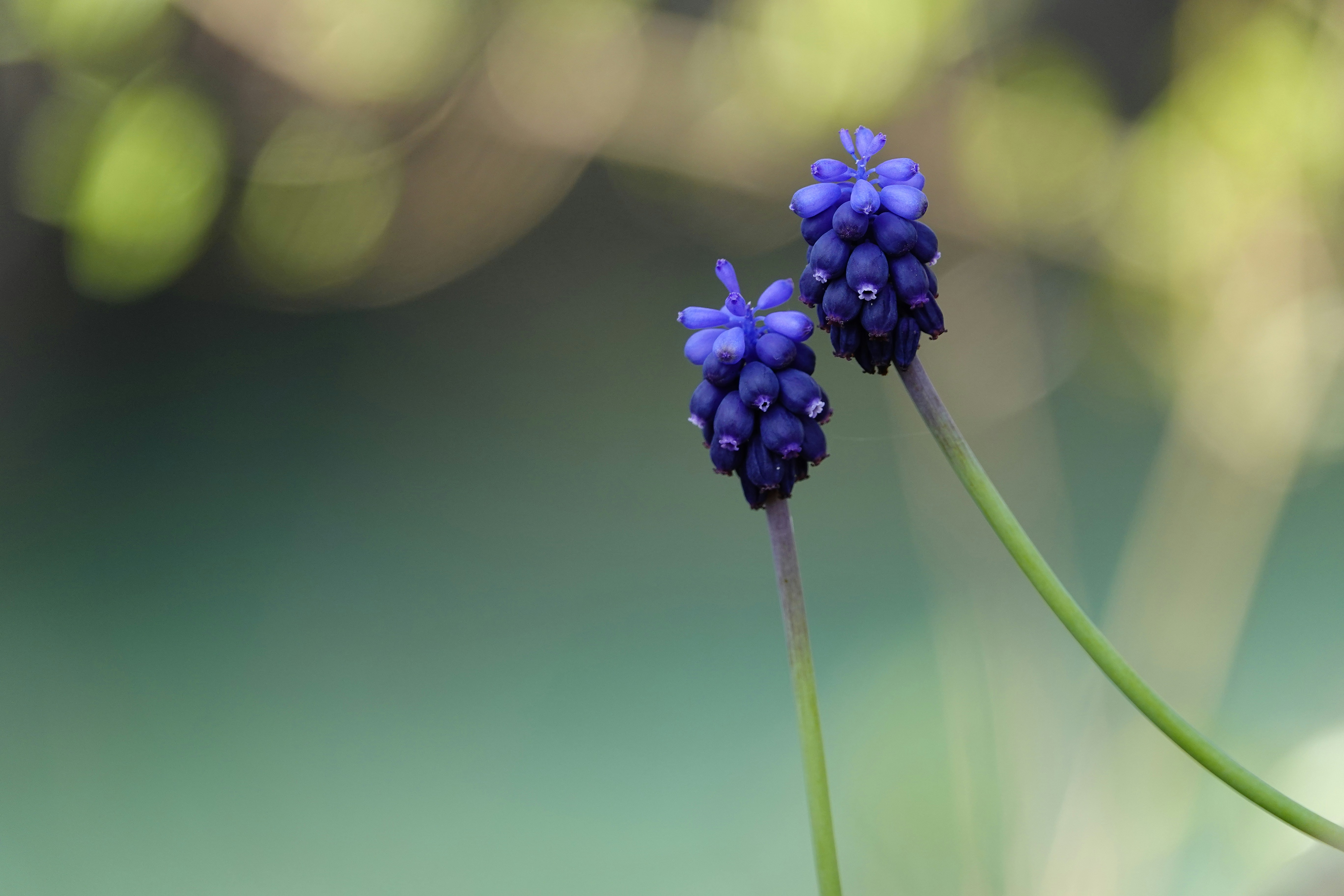 Photo by sempredilunedi