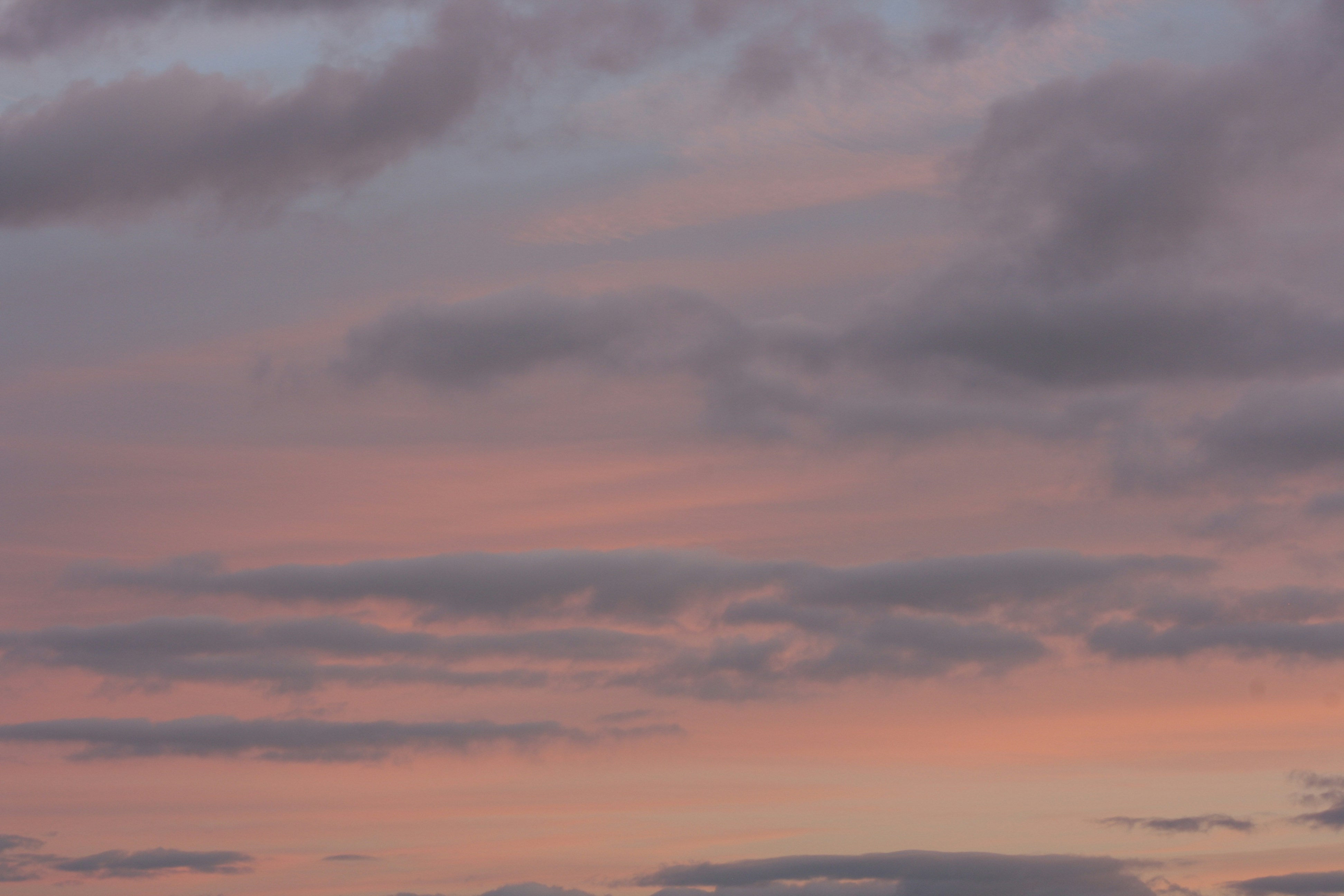 1 Year Together: Heartfelt Anniversary Wishes for Boyfriend