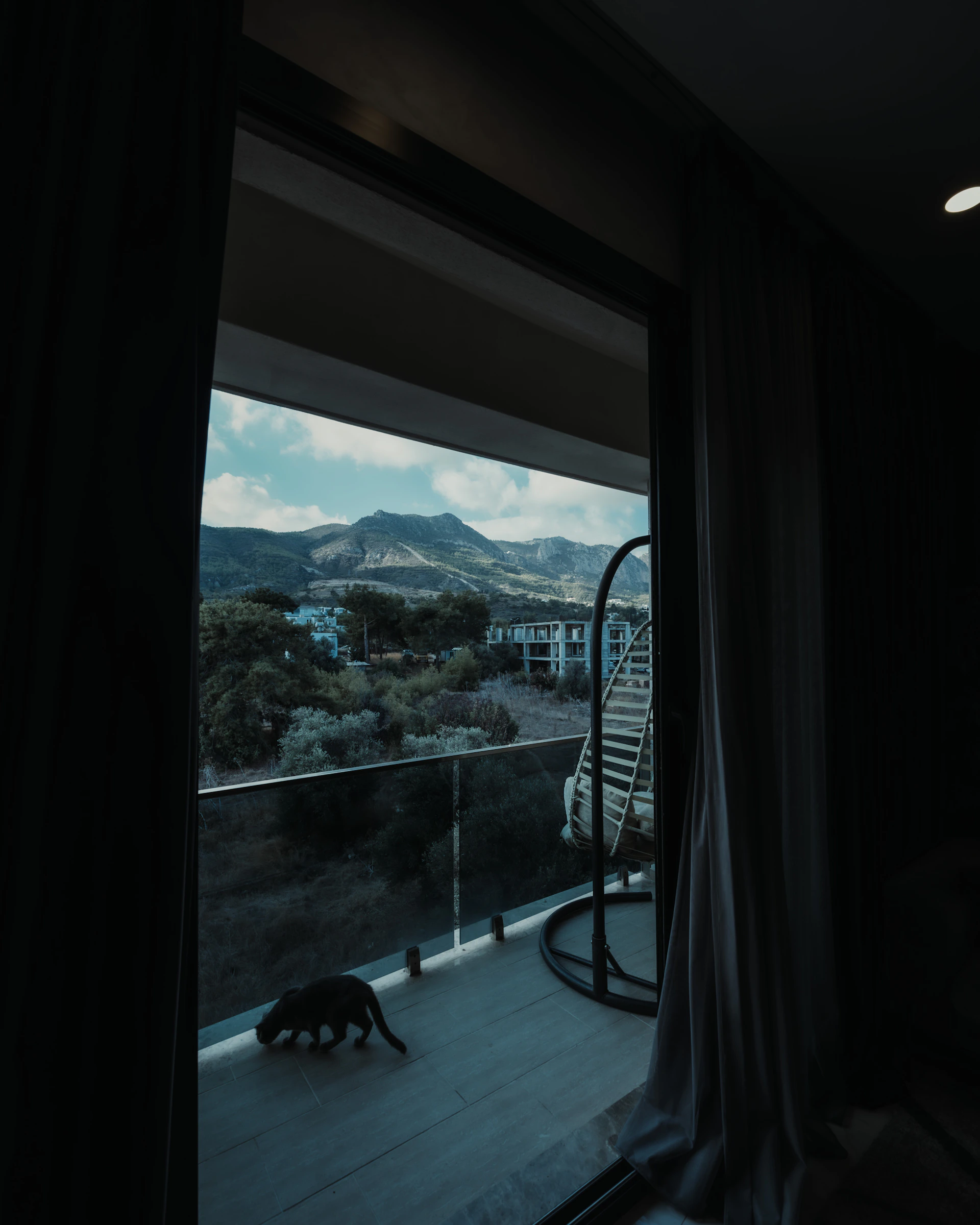 Cat on balcony overlooking mountains and buildings