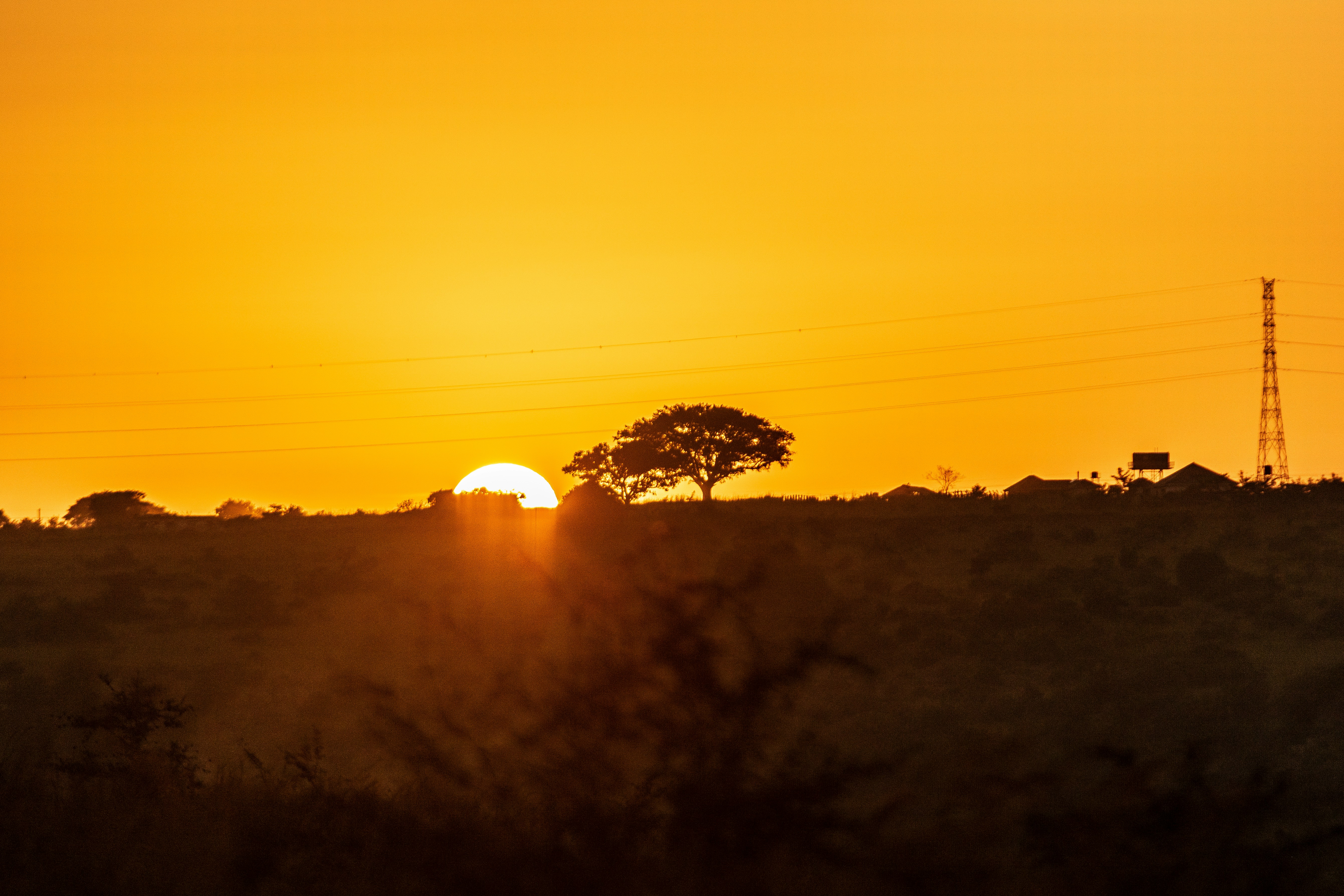 Sunrise over a silhouetted landscape with trees.