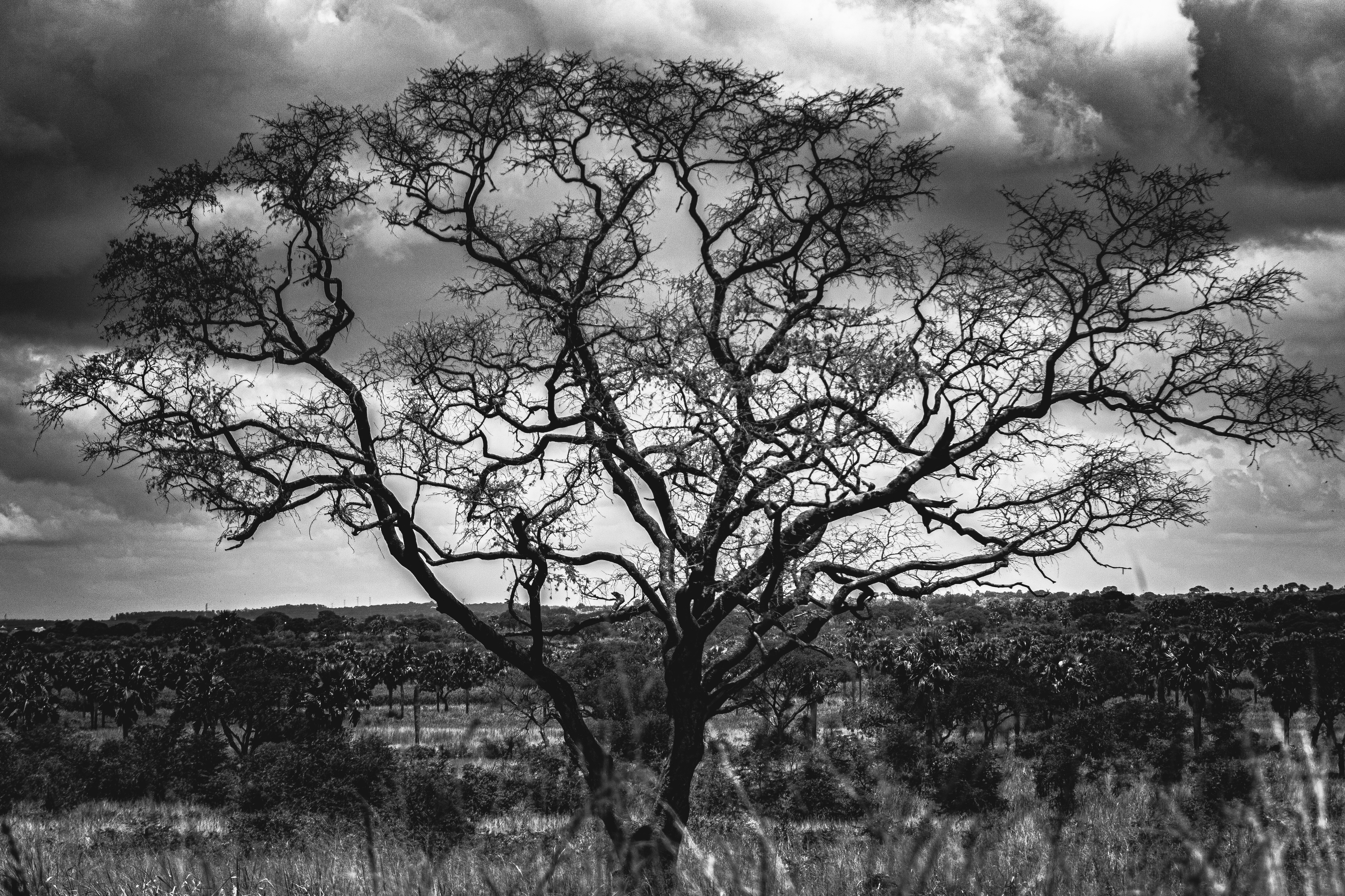 Photo by starkie_pics