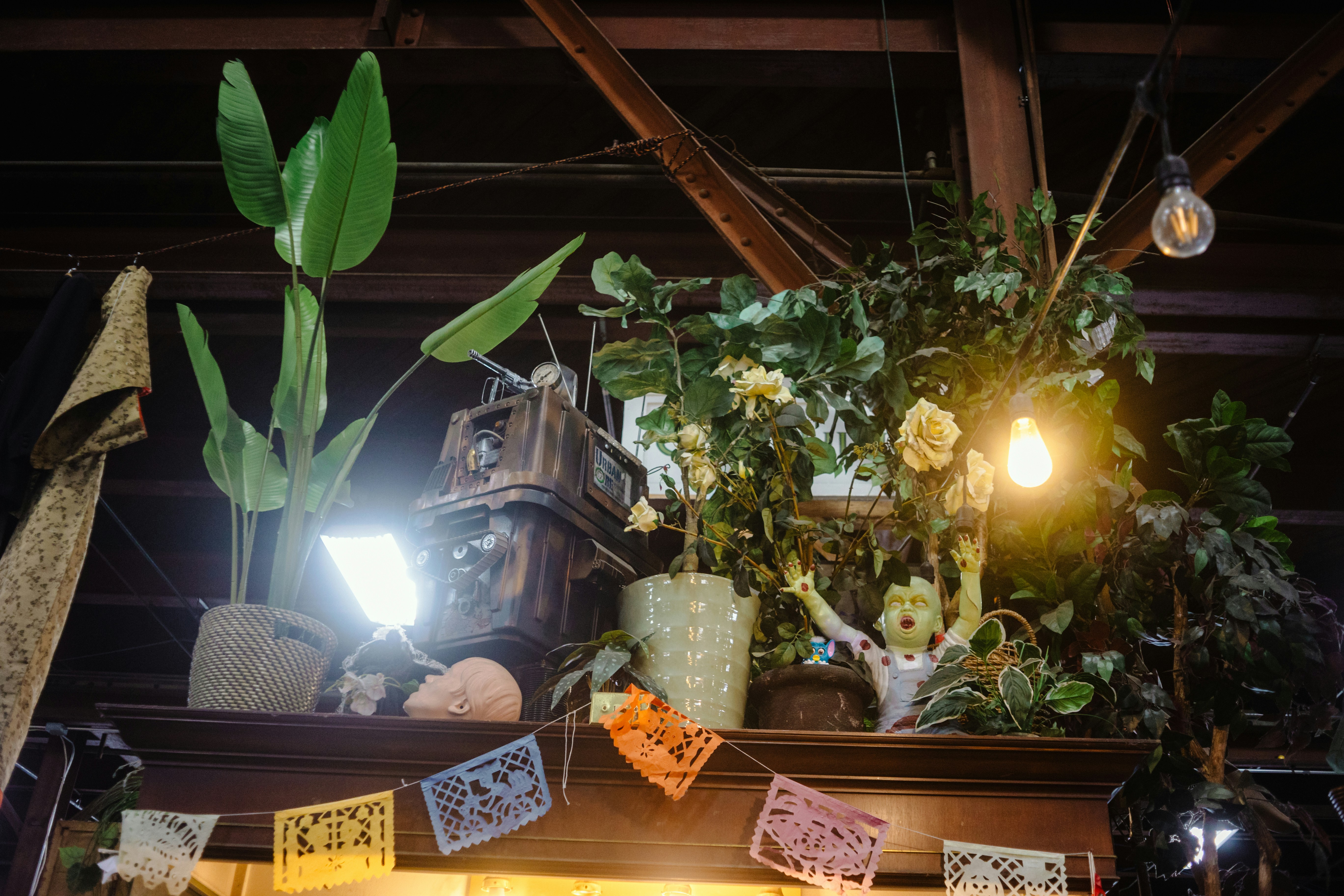 Decorated shelf with plants and festive banners