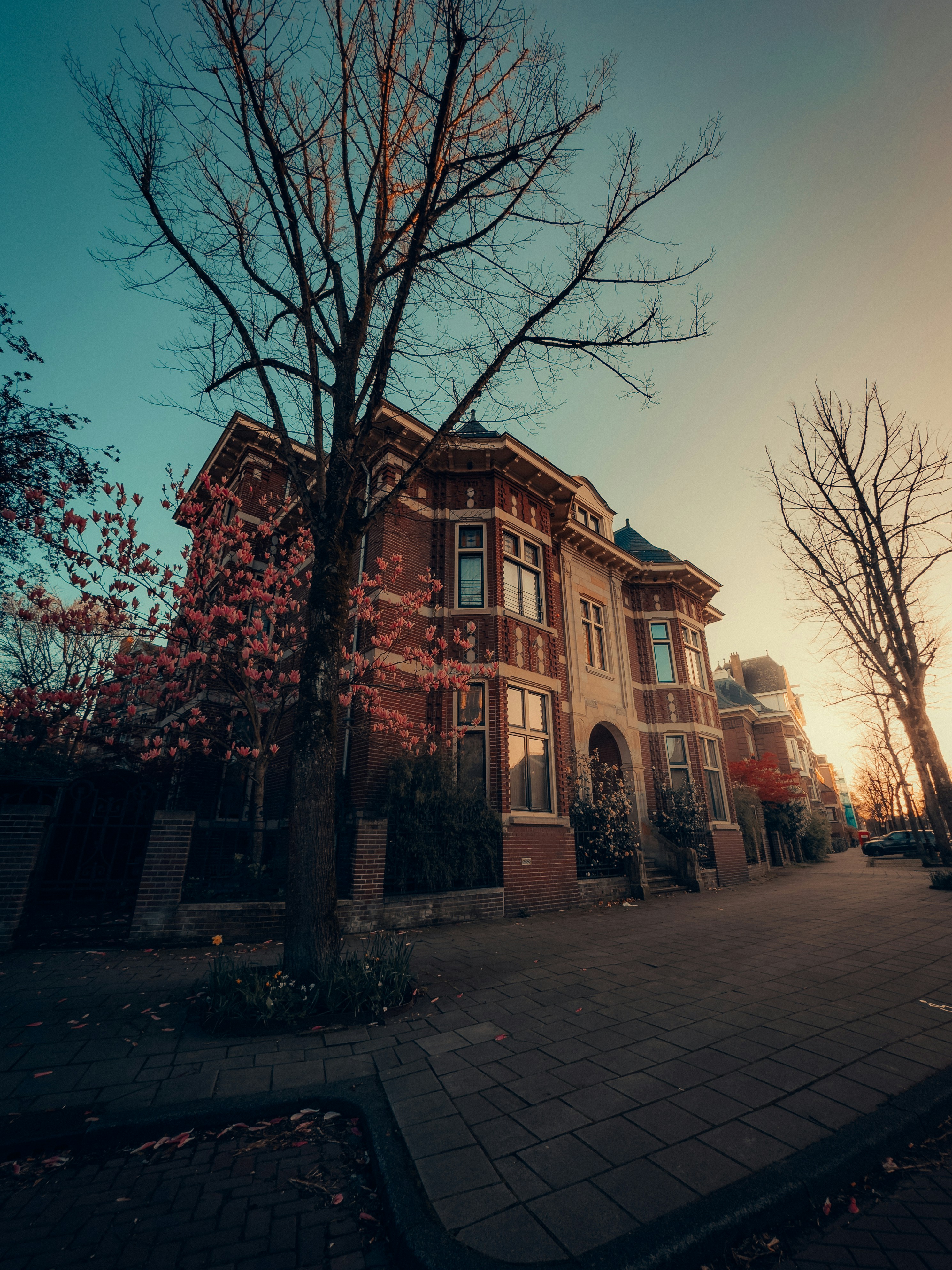 Ornate brick house with trees during sunset