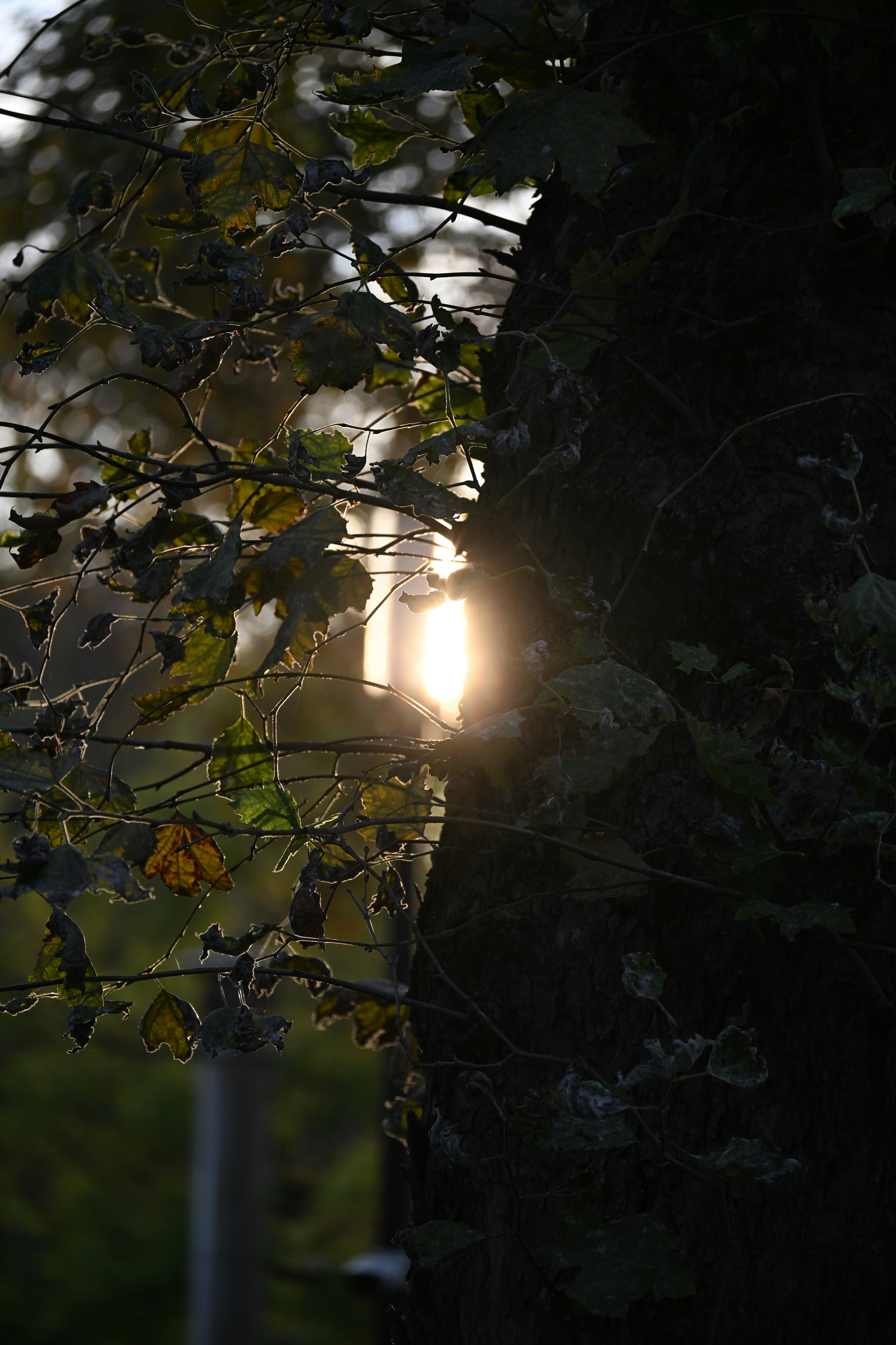 Photo by halilcelikhic