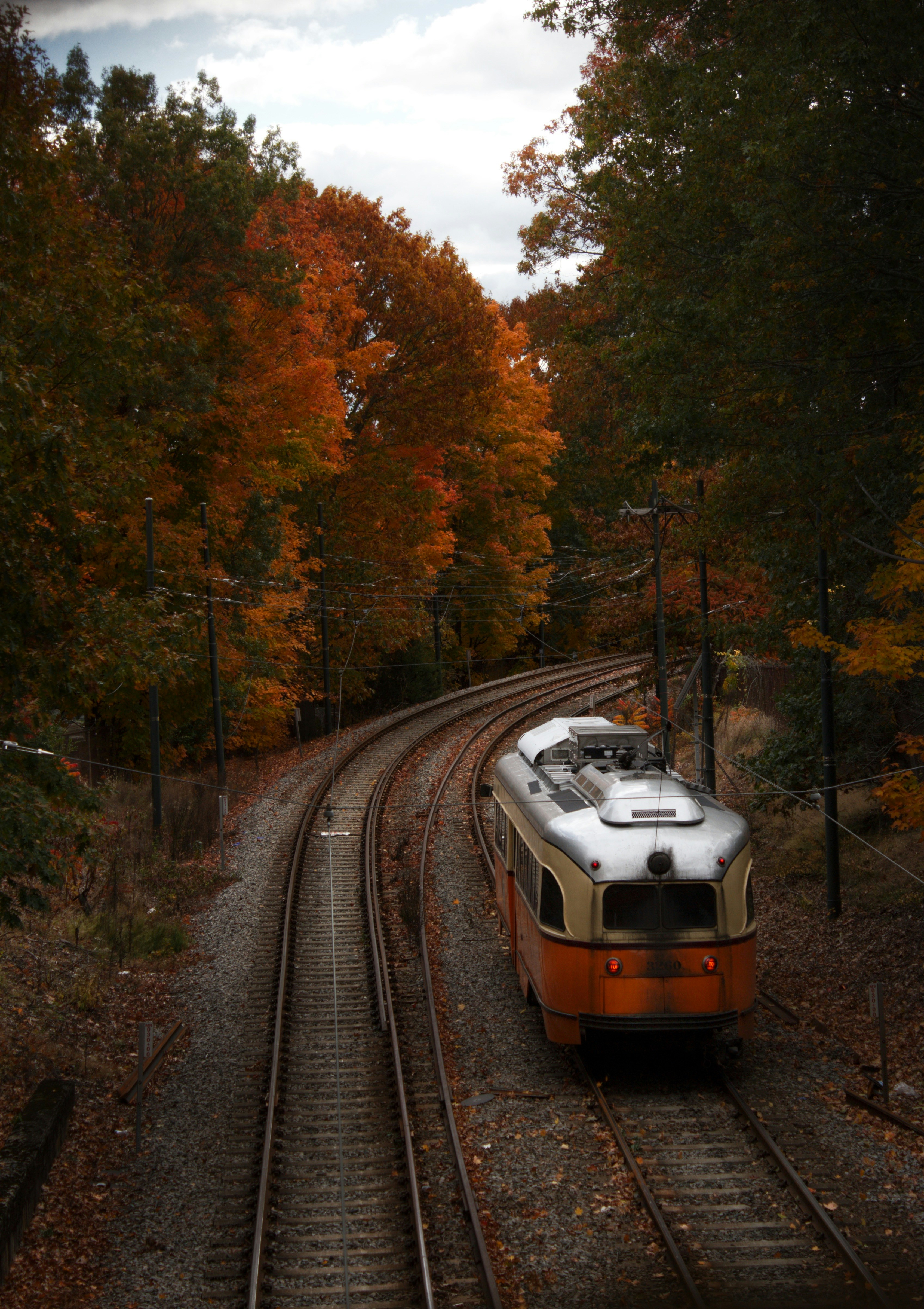 Train on tracks surrounded by autumn trees