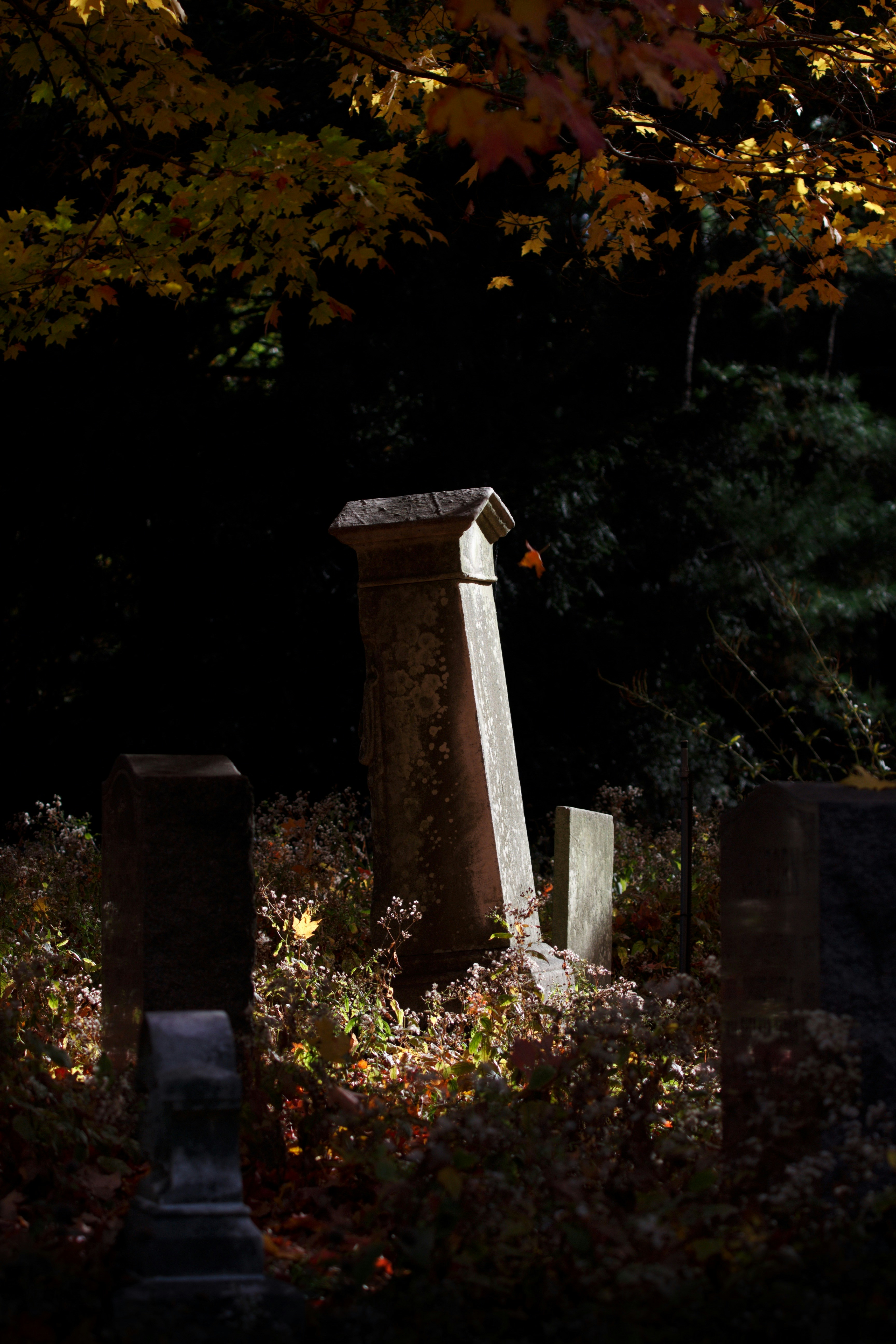 Tilted tombstone in a dark, autumnal cemetery