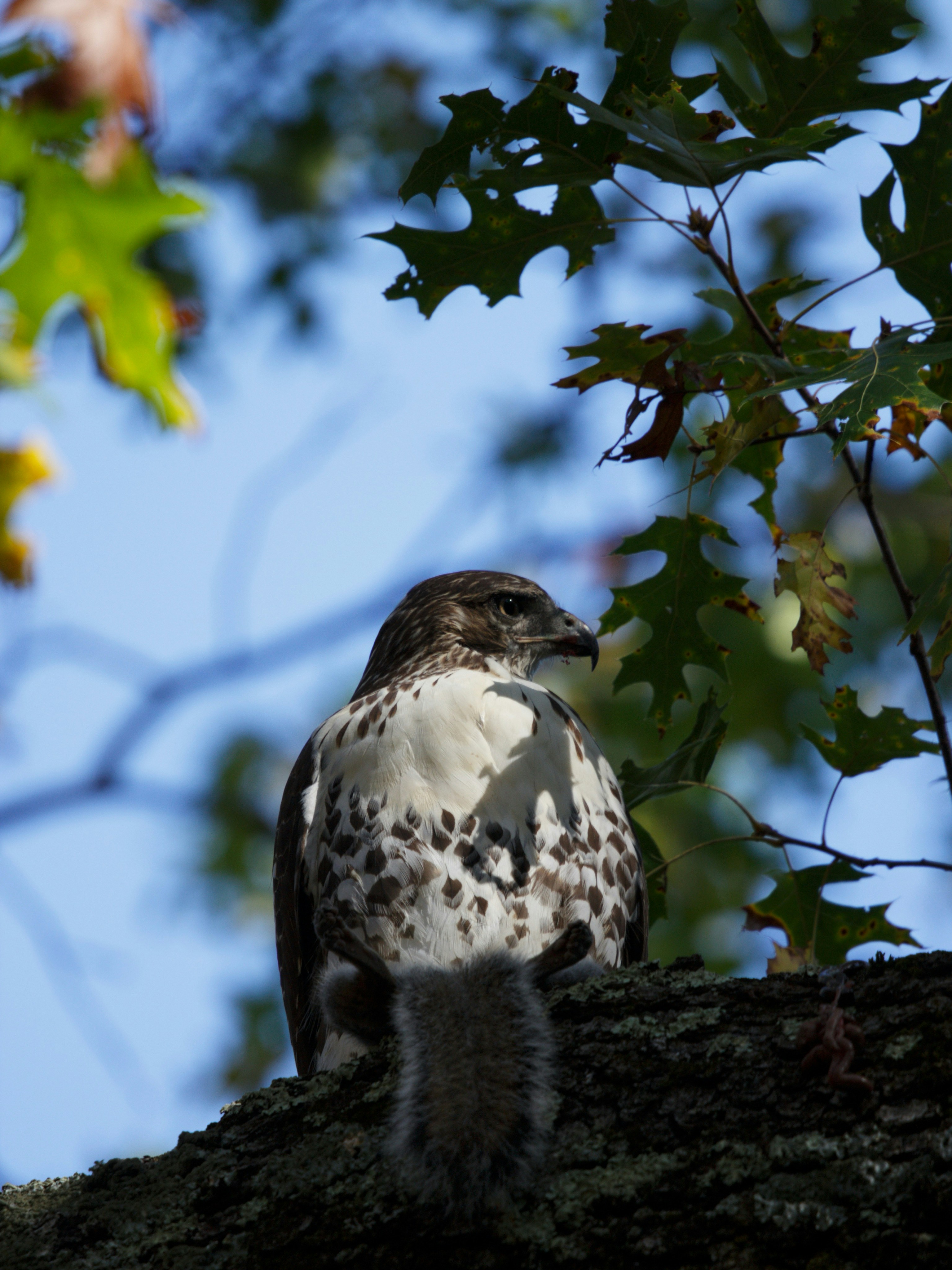 Photo by hasnainsikora