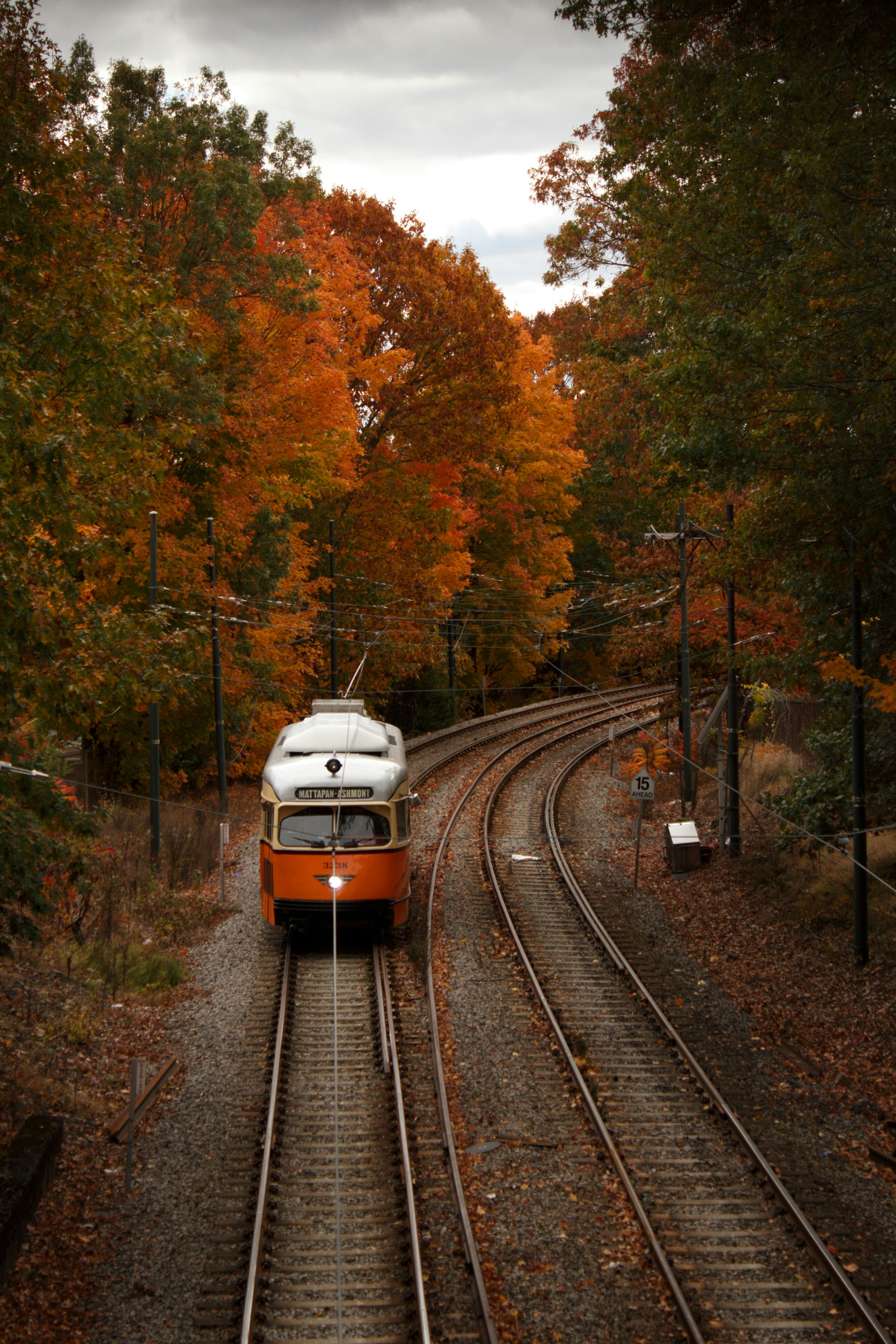 Vintage trolley travels through autumn forest.
