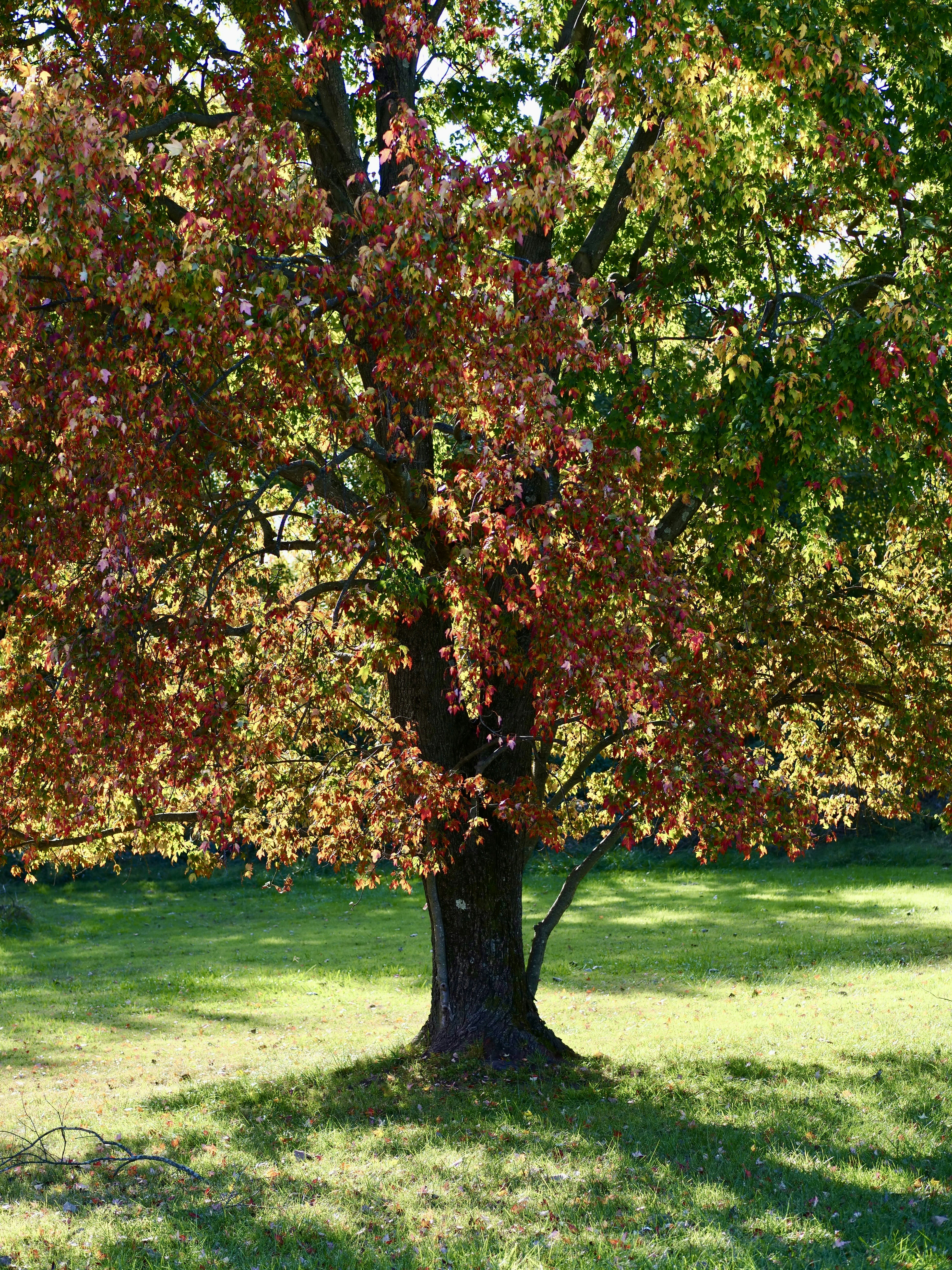 Photo by sschusterphotoart