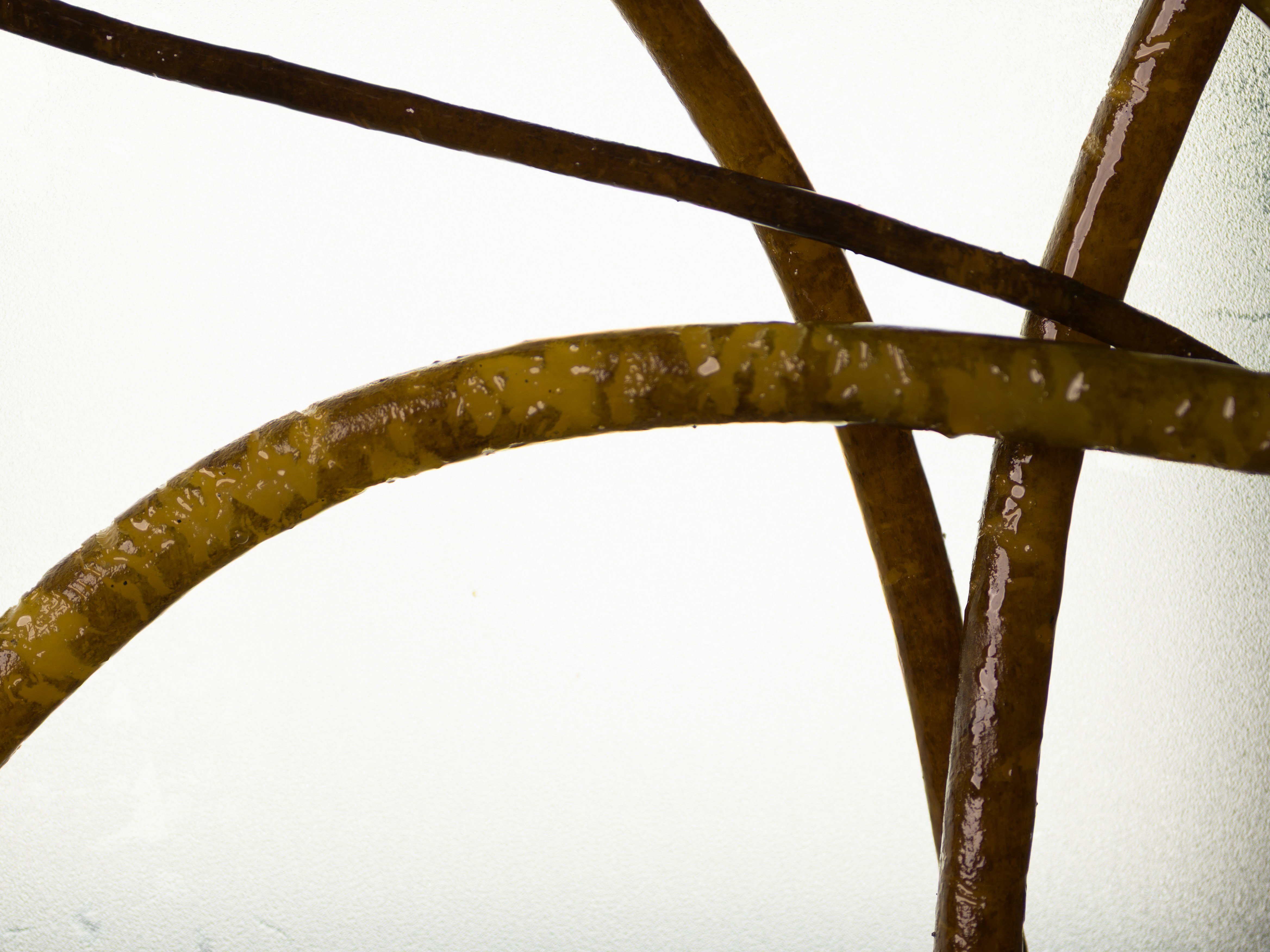 Photo by kierinsightarchives