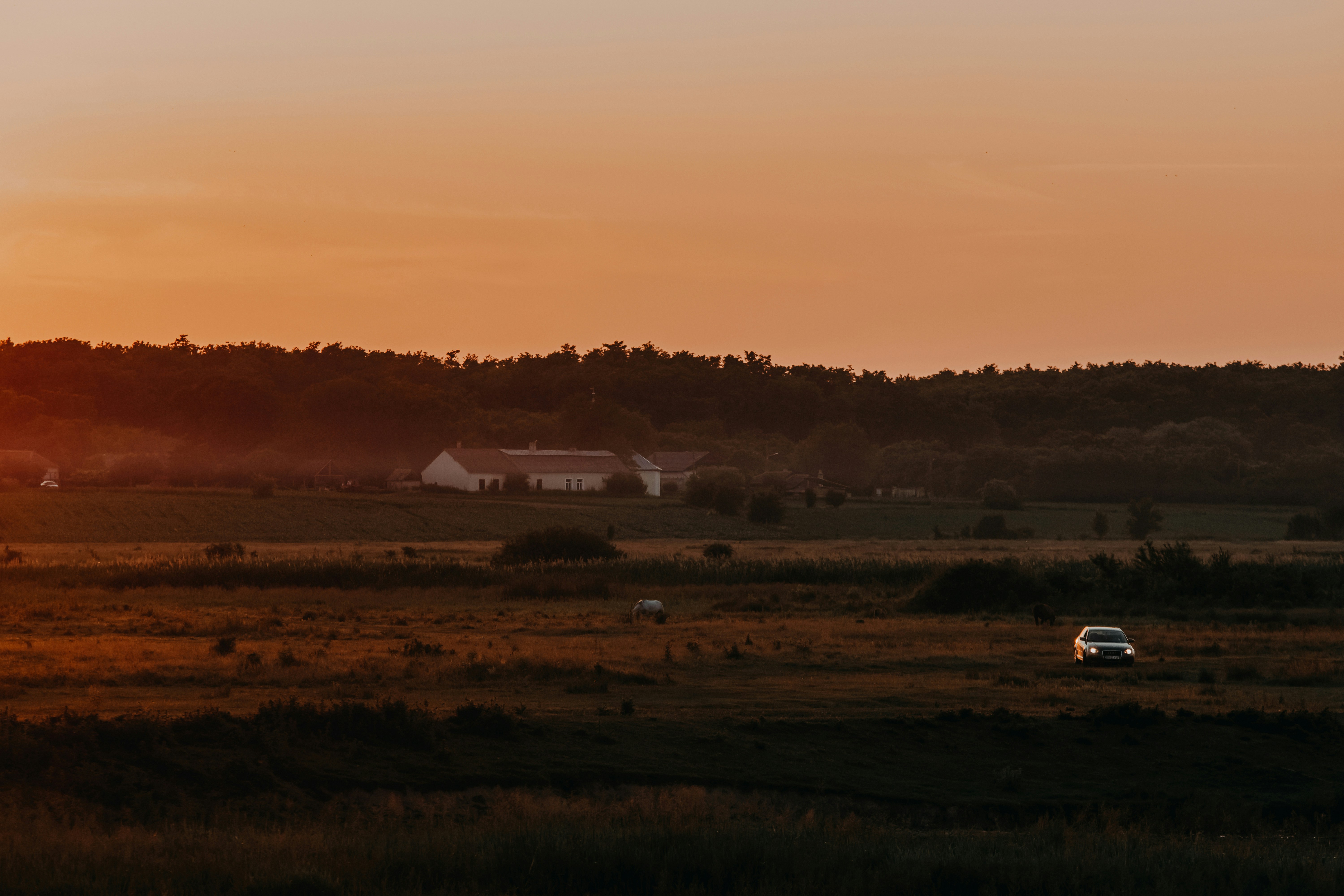 Photo by sylvester_s