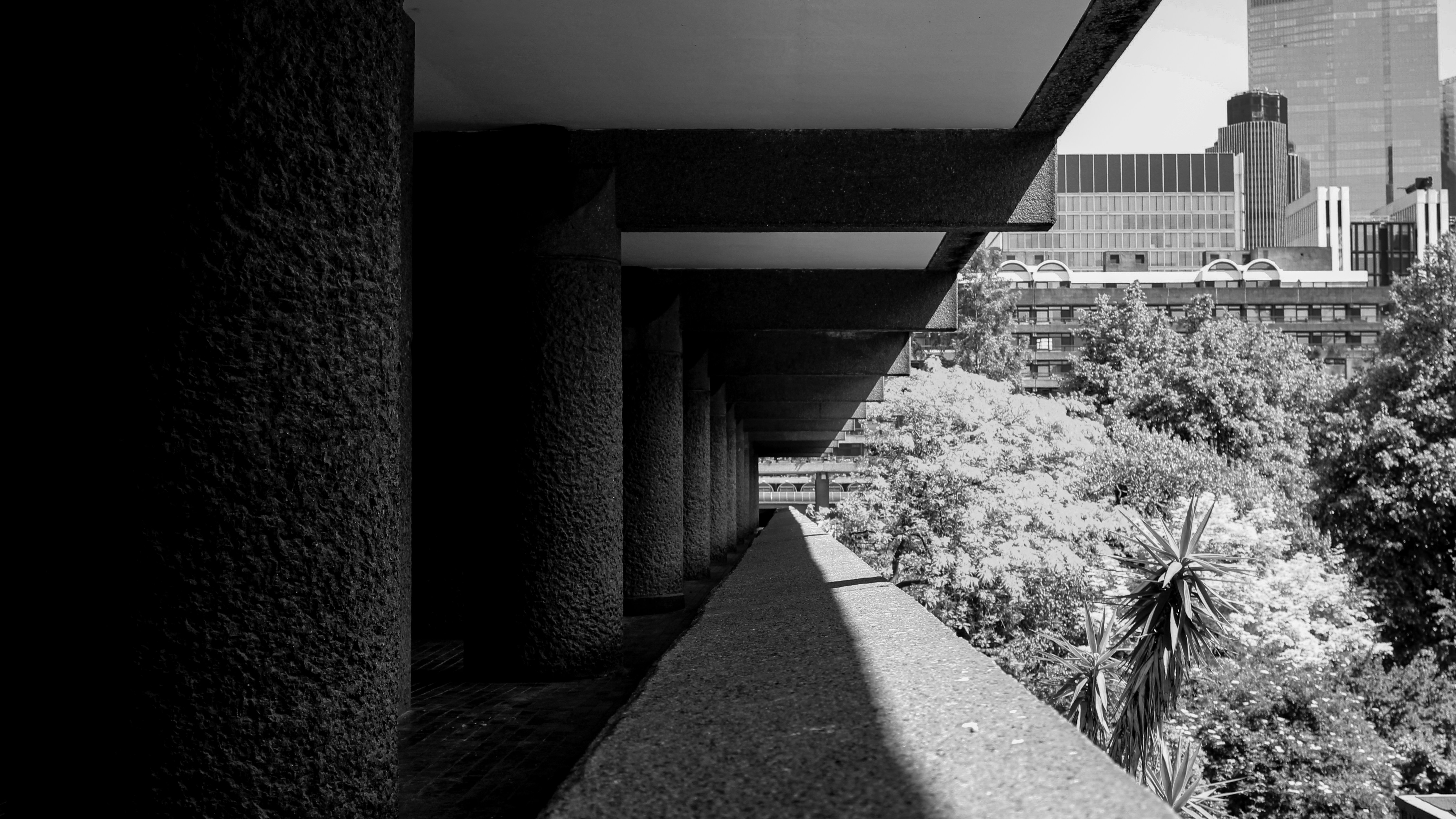 Photo by willcorrigan06