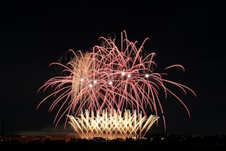 Bright fireworks explode in the night sky