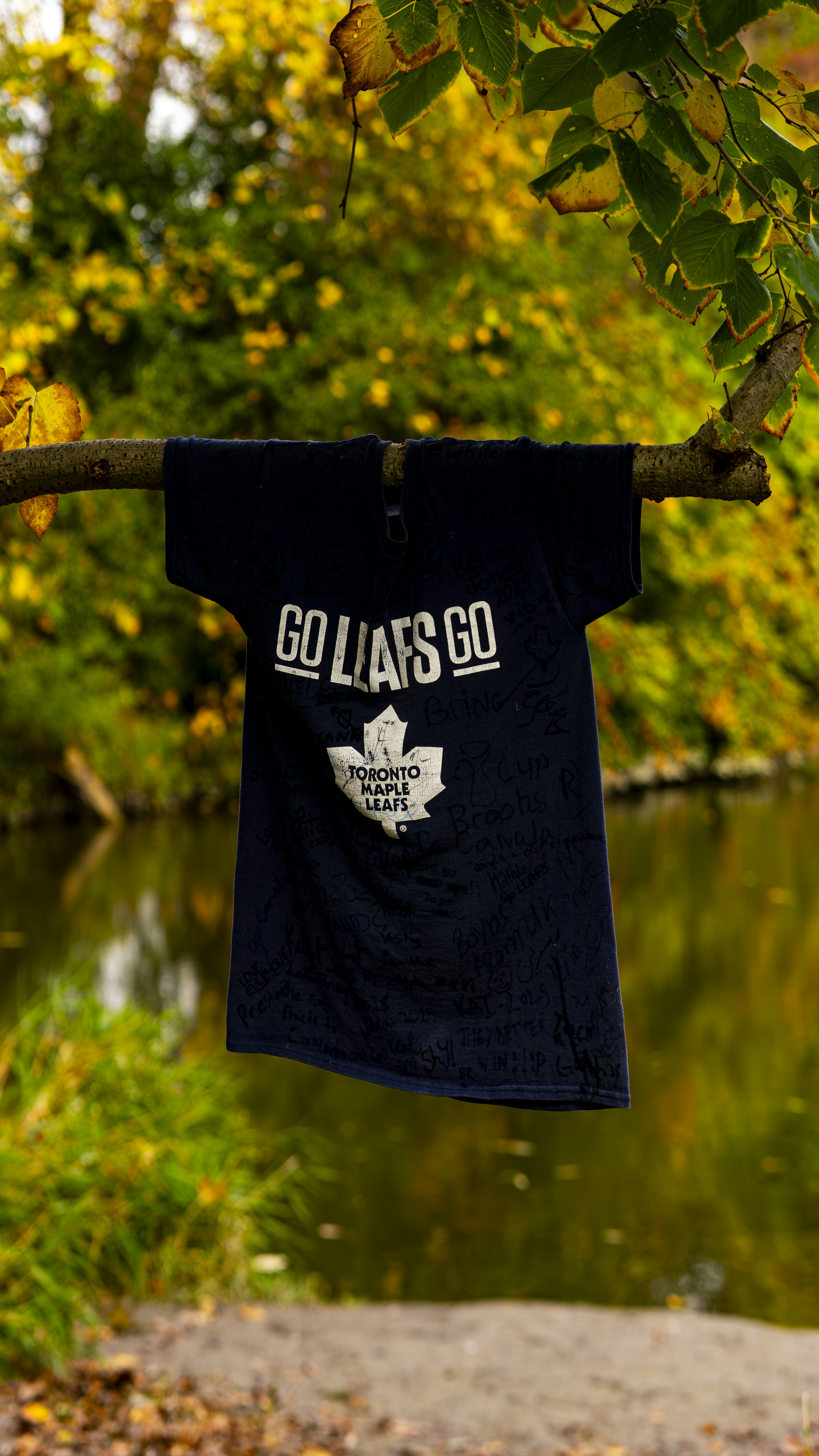 Is A Coaching Change In The Cards For Two Underachieving Canadian Teams? Plus, Welcome Back Connor Ingram And Rare Positive Reviews In Buffalo And Nashville.