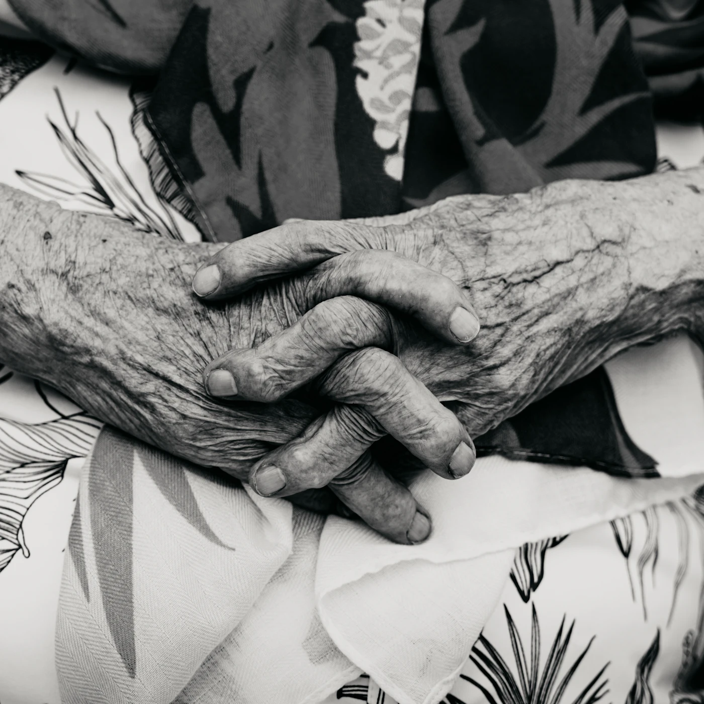 Elderly hands clasped together